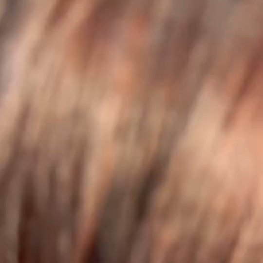 Deep Brunette, glossy perfection🤎✨️
@morgan.beautifyhairdesign 🖤💙
#hairstylist #hairgoals #brisbanehair #beautifyhairdesign #victoriapointhairdresser