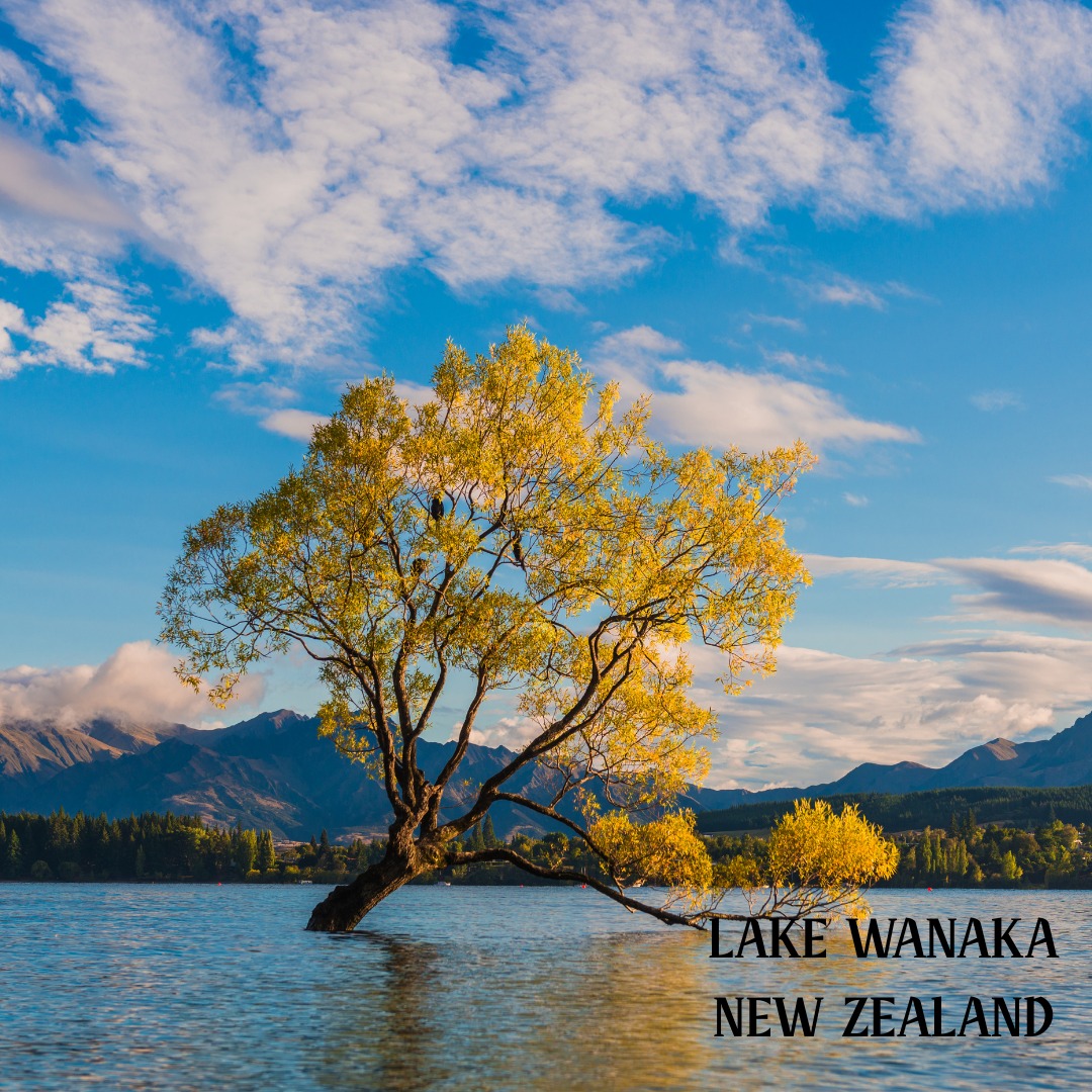 Located in Otago, near Queenstown, Lake Wānaka sits at the edge of Mount Aspiring National Park — a UNESCO World Heritage 🏅 area.
The lake stretches 42 km and is framed by dramatic peaks, making it a true playground for outdoor lovers.
Adventure Activities:
🛶 Kayaking around Ruby Island
🛶 Mountain biking the Hawea River Track
🛶 Skydiving over Lake Wānaka
🛶 Climbing at Hospital Flat (world-class routes)
🛶 Jet-boating on the Matukituki River
A destination where alpine beauty meets pure adventure.
#wanaka #nz #newzealand #oceania #cruisedestination #cruiseport #cruiseline #cruiseplanner