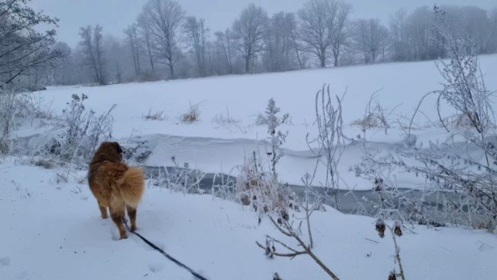 #winterwonderland #winter #love
mit der Bande unterwegs ❄️☃️🤍💙 Uuuuuhhhh... Schneeeee wusel 🤎🤎🤎