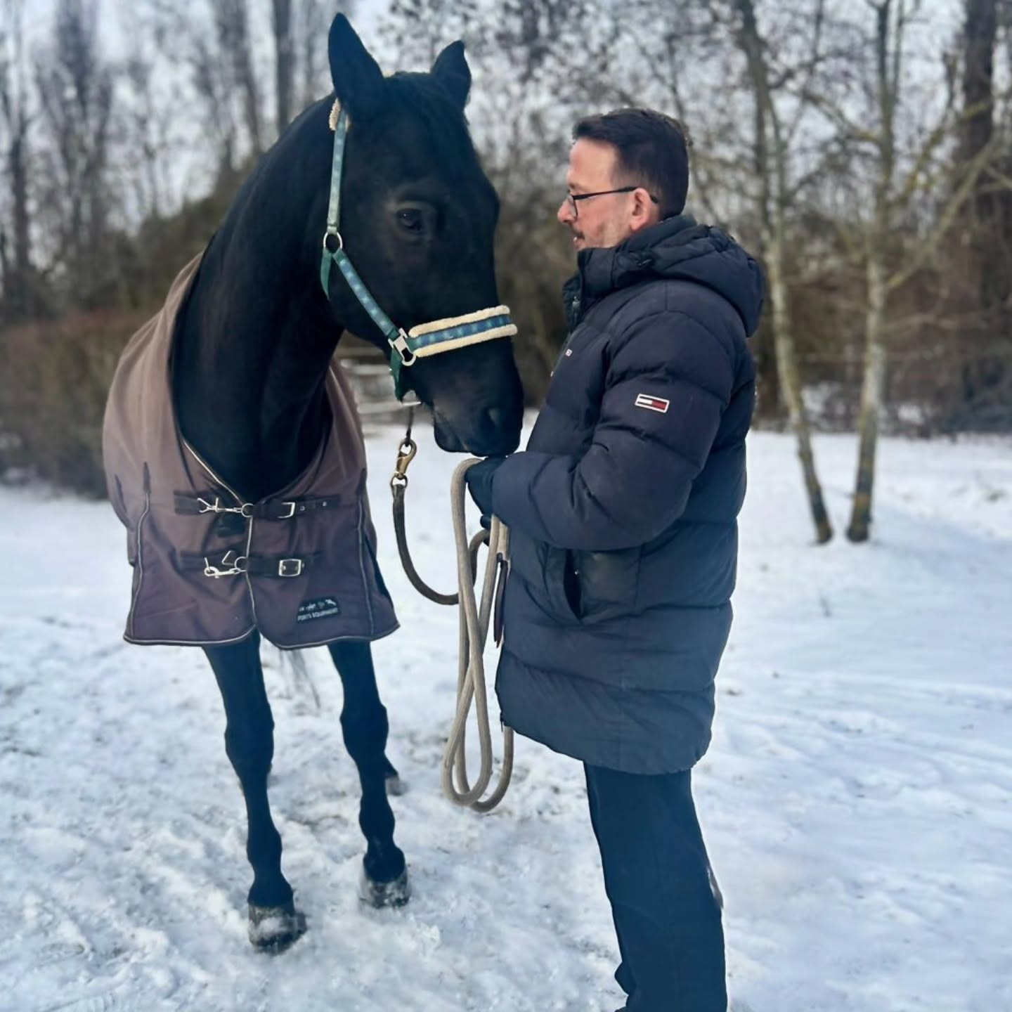 Winter mit Schnee und Minusgraden war einmal normal und jetzt ist er diese Fotostrecke wert. Mir war kalt, Corry nicht. Er ist auch ein Pferd. #soistes #soistesschön #pferdeliebe