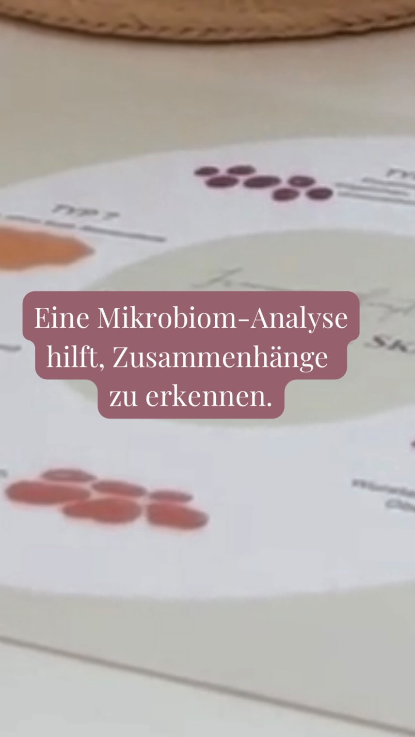 Der Darm steht in enger Verbindung mit Hormonen, Haut, Energie und dem Immunsystem.
Eine Mikrobiom-Analyse hilft, diese Zusammenhänge besser zu verstehen. Sie ordnet ein, wie die Darmflora zusammengesetzt ist und wo Regulation sinnvoll unterstützt werden kann.
Sinnvoll kann eine Analyse sein nicht nur bei Verdauungsbeschwerden, sondern auch bei:
– hormonellen Ungleichgewichten
– Hautveränderungen
– Erschöpfung oder verminderter Belastbarkeit
– wiederkehrenden Infekten
– Unverträglichkeiten
– oder wenn Therapien nicht wie erwartet greifen
Die Ergebnisse dienen nicht der schnellen Lösung, sondern einer fundierten Einordnung und einer individuell abgestimmten Begleitung.
#mikrobiomanalyse #darmgesundheit #frauenheilkunde #naturheilkunde #hormonbalance