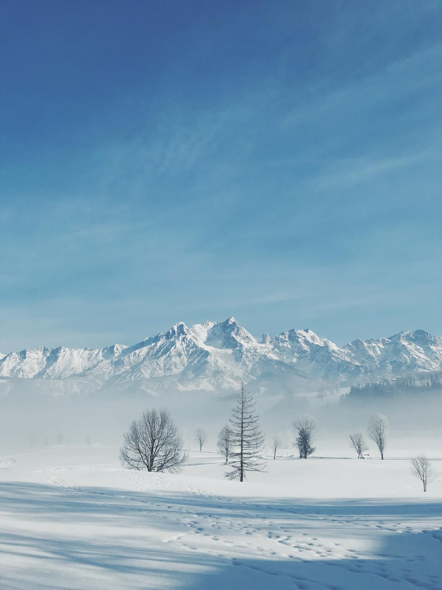 Winter Vibes vom Feinsten ✨🤍
Eingefangene Winter Zauber Momente, bisschen Glitzer, extra Funkeln und ein kleines brrr inklusive🤍
Viel Freude beim durch blättern ✨
Verrate mir gerne in einen Kommentar welches Bild dir am besten gefällt? Bin sehr gespannt 🤗 ❔
Startet gut rein in die neue Woche,
Alles Liebe eure Meli mint
#winter #austria #winterwonderland #magic #snow #nature #love #beauty #picture