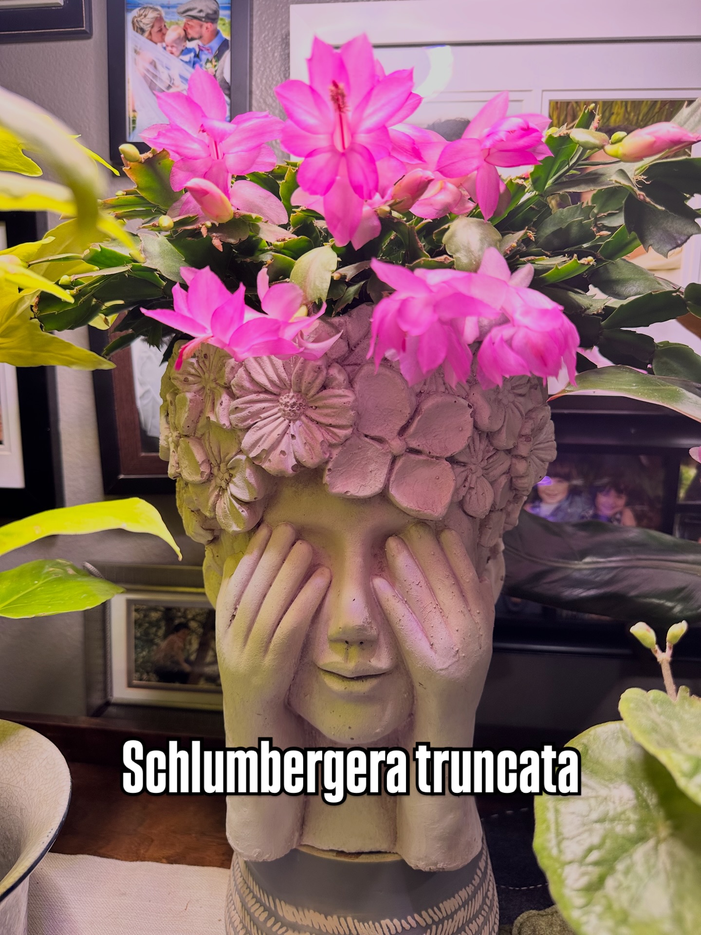 Gotta love those blooms.