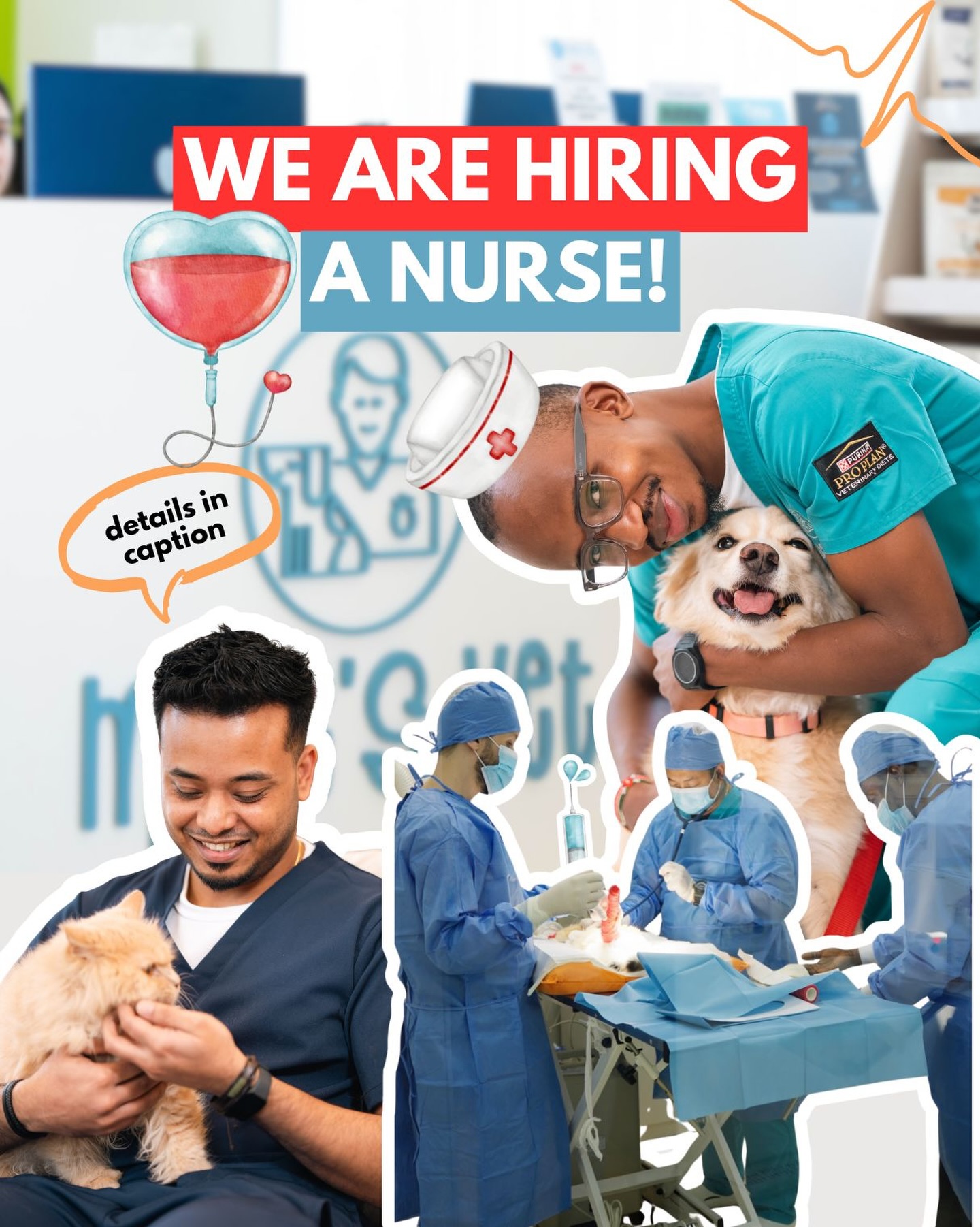 ‼️We’re Hiring: Veterinary Nurse 🐾
📍Dubai 🇦🇪
We’re looking for a dedicated veterinary nurse to join Mike’s Vet!
Experience Level: Senior / Lead Nurse
Key Responsibilities:
- Provide advanced nursing care to hospitalized and surgical patients
- Assist with anaesthesia, monitoring, and recovery
- Support surgical procedures, diagnostics, and dental procedures
- Oversee infection control, hygiene, and clinical protocols
- Mentor, support, and train junior nurses
- Ensure accurate clinical records and medication administration
- Support stock control, equipment maintenance, and pharmacy standards
- Act as a clinical point of contact for the nursing team
Requirements:
- Qualified Veterinary Nurse with minimum 4–5 years’ experience
- Previous experience in a senior or lead nurse role preferred
- Strong anaesthesia and surgical nursing skills
- Excellent communication and leadership abilities
- Confident working in a fast-paced clinical environment
- High standards of professionalism, organization, and patient care
- Ability to work collaboratively within a multidisciplinary team
What We Offer:
- Competitive salary package (based on experience)
- Supportive and professional working environment
- Opportunity to influence protocols and clinical standards
- Ongoing professional development
- Stable, long-term position within a growing clinic
📩 Apply now: send your CV + a brief cover letter outlining your experience -
reception@mikesvet.com
We look forward to welcoming the right candidates to our clinic. 🩵
#vetclinic #dubaivet #vetclinicdubai #dubai