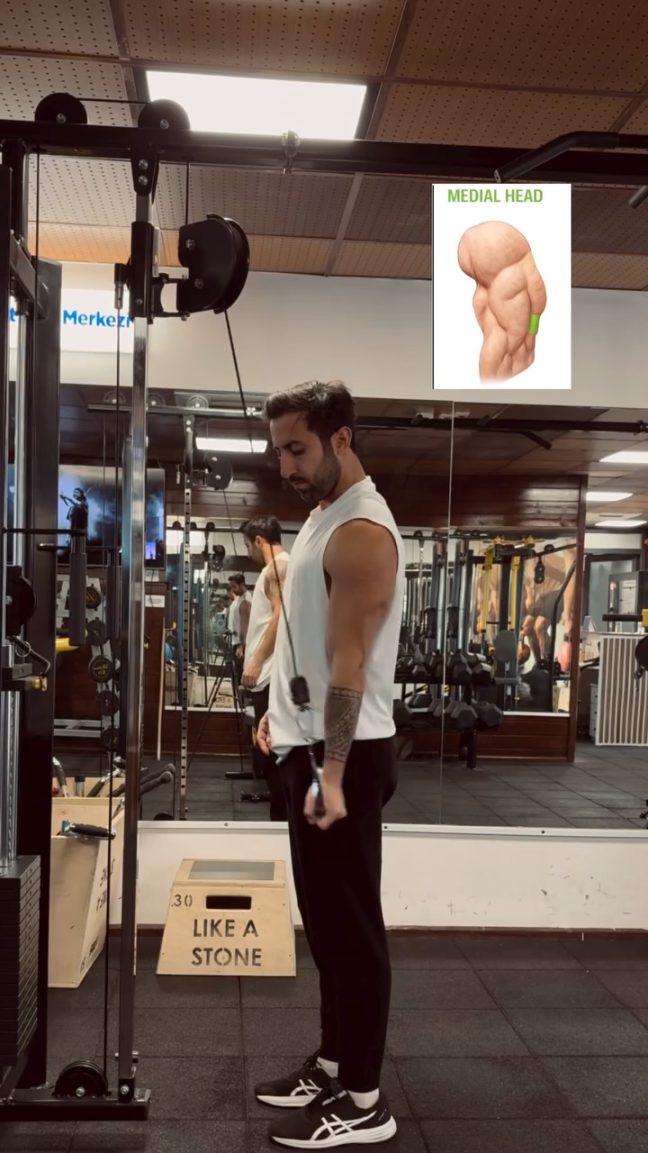 Triceps’in 3 başı var ama hepsini tek tek kovalamak şart değil.
Yaptığım bu hareketler zaten arka kolun tamamını çalıştırıyor.
3 başı da kapsamak ekstra bir avantajdır,
ama fit, güçlü ve estetik bir kol için zorunluluk değildir.
İleri seviye veya detay hedefi olanlar için faydalı olur,
çoğu insan içinse doğru açıyla yapılan birkaç iyi hareket yeterlidir
#keşfet #fypage #wellness #bodybuilding #fitness