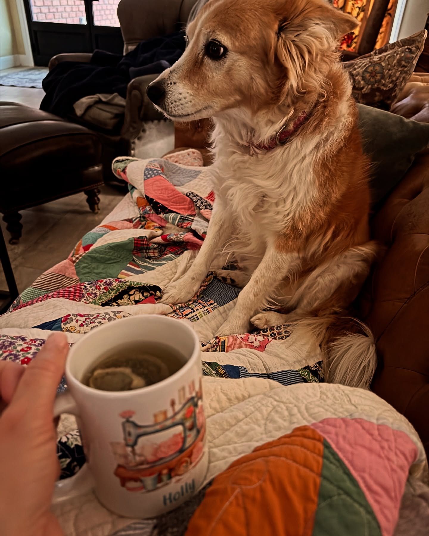 This morning I’m gathering my Quilty thoughts. Have you ever needed a moment to wrap your head around a big quilting project? I have a detailed sampler block BOM quilt project starting soon. How do you go about getting ready for an epic quilting project?
🧵