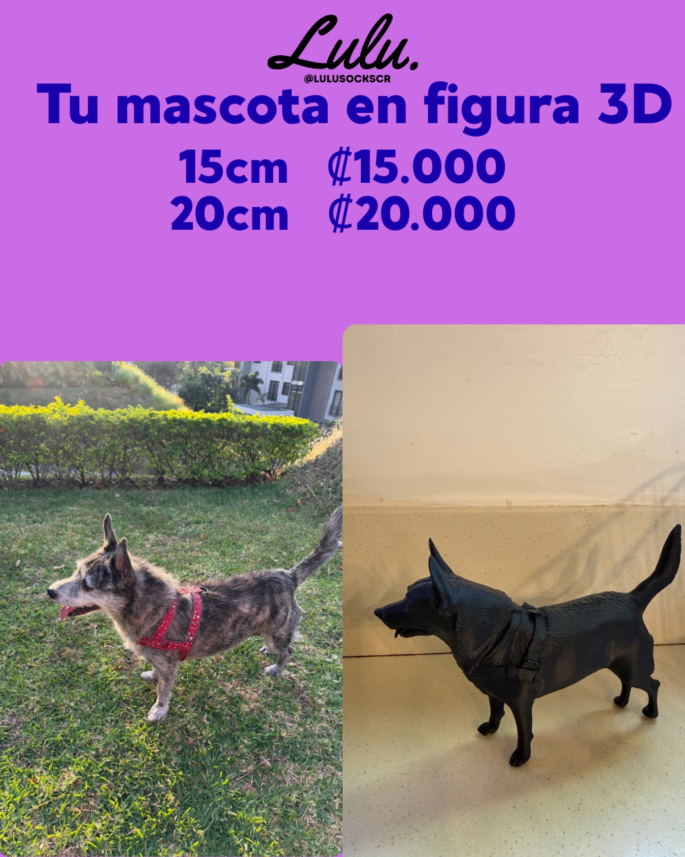 Con una imagrn de tu mascota, hacemos una estatuilla en 3D!