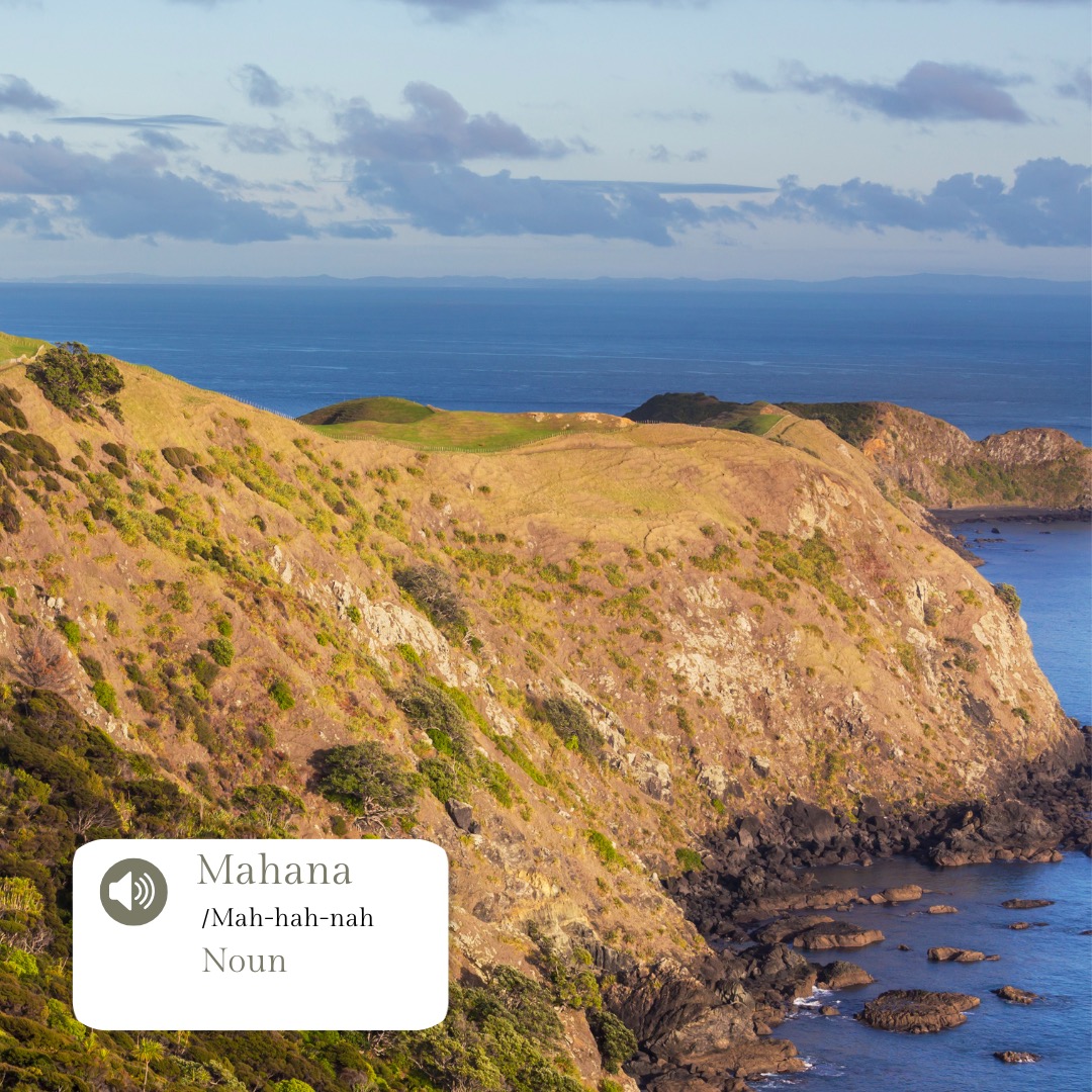 In te ao Māori, mahana speaks to more than temperature, it’s the feeling of being held, cared for, and supported. The warmth of connection, nourishment, and safety 🌿
In acupuncture, warmth is central to postnatal healing. After birth, a mother’s body is open, depleted, and in need of replenishment. We bring mahana through gentle acupuncture, moxa, and grounding treatments that support recovery, circulation, and restoration.
Mahana also extends beyond the clinic. Inviting partners to learn simple acupressure offers warmth through touch and presence, and encourages shared care during labour preparation, birth, and the postnatal period. Warm, nourishing meals prepared with love are part of this healing too, supporting blood, energy, and milk supply when mum needs it most.
✨ I’m so pleased to share that I’ll soon be offering pregnancy and postnatal acupuncture from @birthcareauckland, alongside @holisticbaby and @oste.oh holding this sense of mahana within a space dedicated to birth, recovery, and support for the whole whānau.
Warm hands. Warm food. Warm connection.
This is mahana.