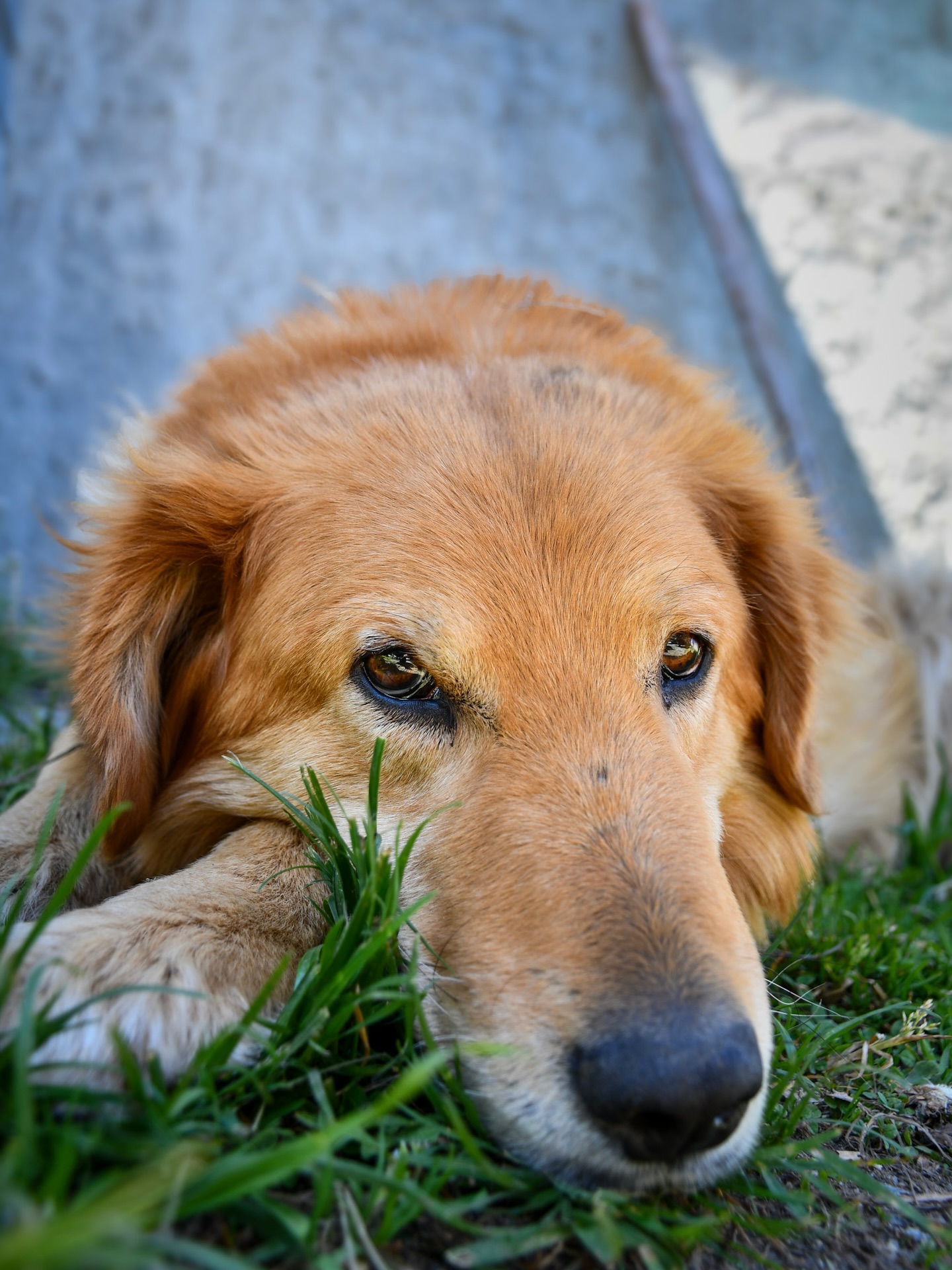 Foto: @karenn.ph
Curso: Básico (2024)