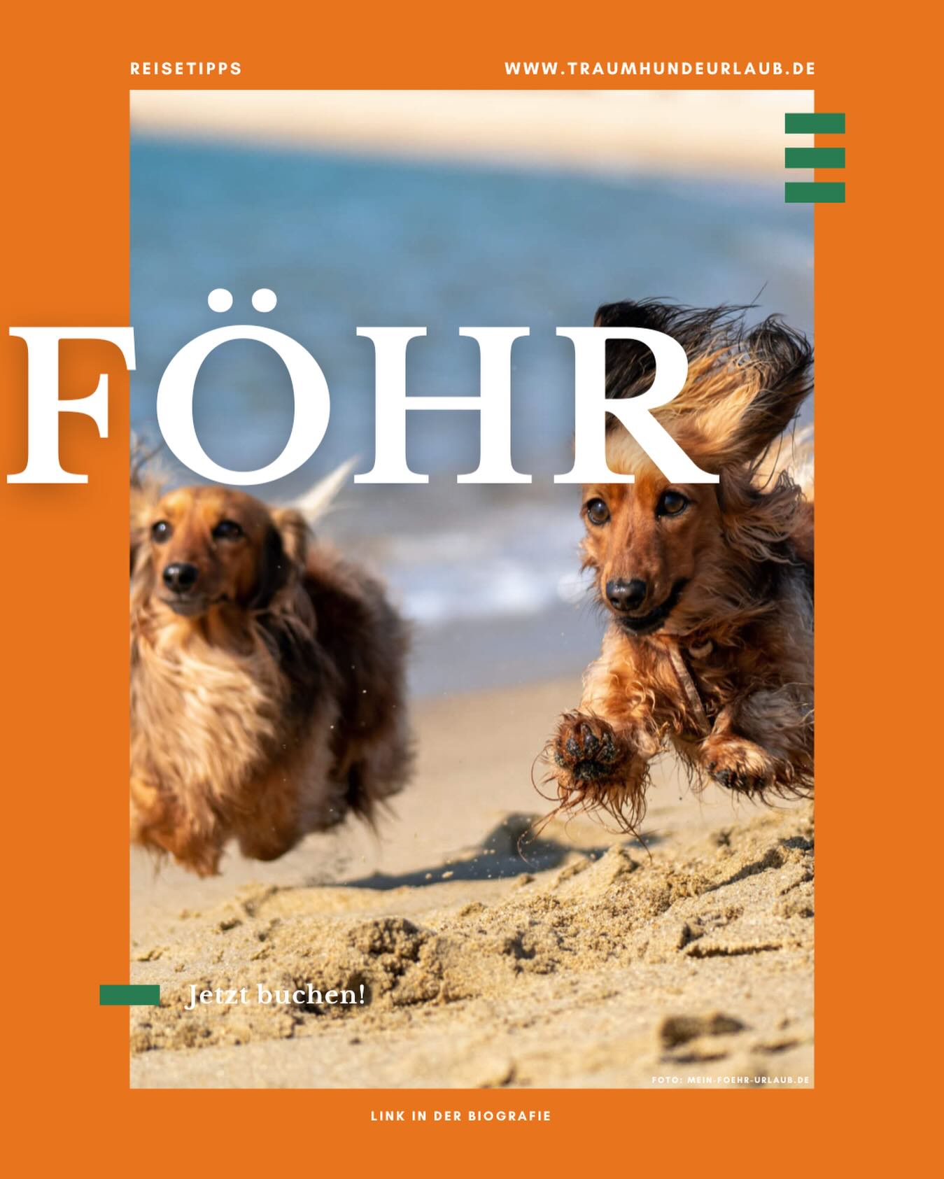 Nordseeluft, endlose Strände und glückliche Pfoten 🐾🌊
Föhr ist der perfekte Ort für eine entspannte Auszeit mit deinem Hund – viel Platz zum Toben, Ruhe zum Abschalten und echtes Inselgefühl.
Wer kommt mit? 💙🐶
#traumhundeurlaub #foehr #urlaubmithund #jetztbuchen #hundetraum
