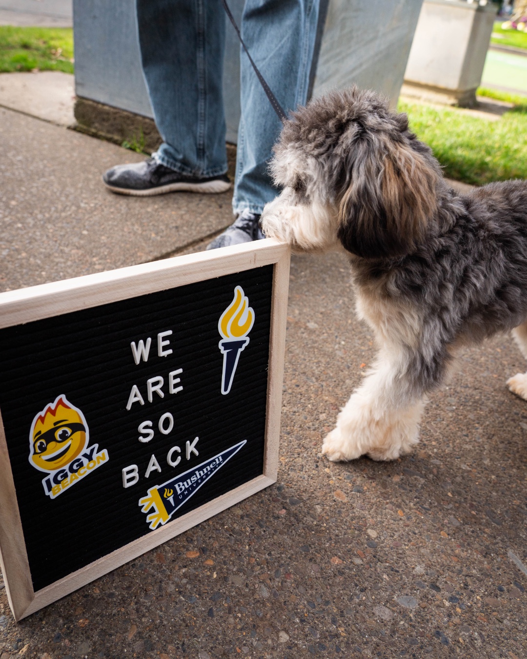 New semester, same community. We are so back for spring! 💙💛