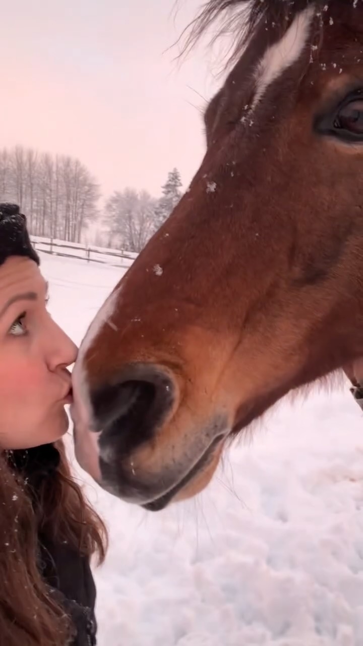 Noen dager kjennes veien jeg går både riktig og ubehagelig på samme tid.
Det er som om noe i meg vet at dette er veien,
mens en annen del blir redd når komfortsonen presses.
Tankene tar fart.
Spørsmålene melder seg.
Følelsen av at veien nesten er valgt for meg –
ikke av meg.
På slike dager hjelper det ikke alltid å tenke mer.
Da trenger kroppen noe annet.
I dag dro jeg i stallen med tenåringsdatteren min.
Ingen store samtaler.
Ingenting som måtte løses.
Bare tilstedeværelse.
Dyr, rutiner, pust og bevegelse.
Små øyeblikk som hjelper kroppen å lande –
for henne,
og for meg.
📚 I boka Fra traumer til drømmer skriver jeg om hvordan heling ikke bare skjer gjennom innsikt og forståelse,
men gjennom nye erfaringer av trygghet i hverdagen.
Gjennom øyeblikk der nervesystemet får puste.
💛 Hva hjelper deg å lande når tankene tar over?
💛 Hvor finner kroppen din ro, selv når hodet er fullt?
💛 Hvem kan du være sammen med uten å måtte forklare deg?
Noen dager er dette jobben.
Å møte opp.
Å være der.
Å la øyeblikket være nok.
❤️
📖 Fra traumer til drømmer
✨ Jeg tilbyr også veiledning, reading og reiki for deg som ønsker støtte i prosesser med regulering, trygghet og indre vekst
🔗 Mer info på hedvigsveum.no (link i bio)
#fratraumertildrømmer #indretrygghet #hernå #nervesystemet #regulering tilstedeværelse relasjon forelder jordende autentiskliv selvomsorg personligvekst