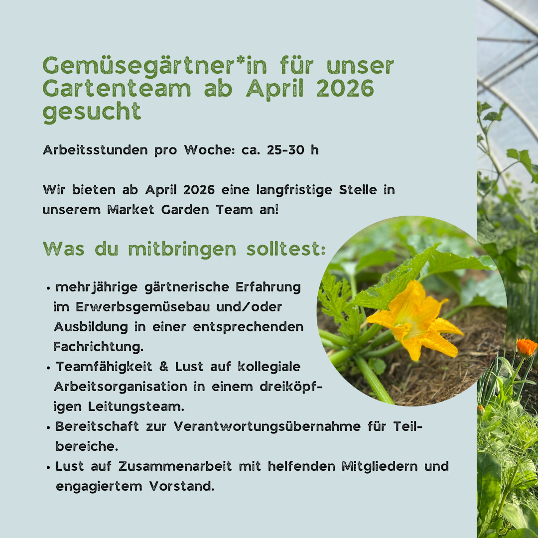 Wir haben ab April 2026 eine Stelle in unserem Team zu besetzen. Wenn Du Lust auf eine spannende Tätigkeit in einem gut strukturierten Market-Garden-Betrieb hast, melde dich gerne bei uns!
#hitzacker #wendland #elbtalaue #marketgarden #market garden #csa #solawi #solidarischelandwirtschaft #gemüsegärtner #marktgarten #junglandwirtin