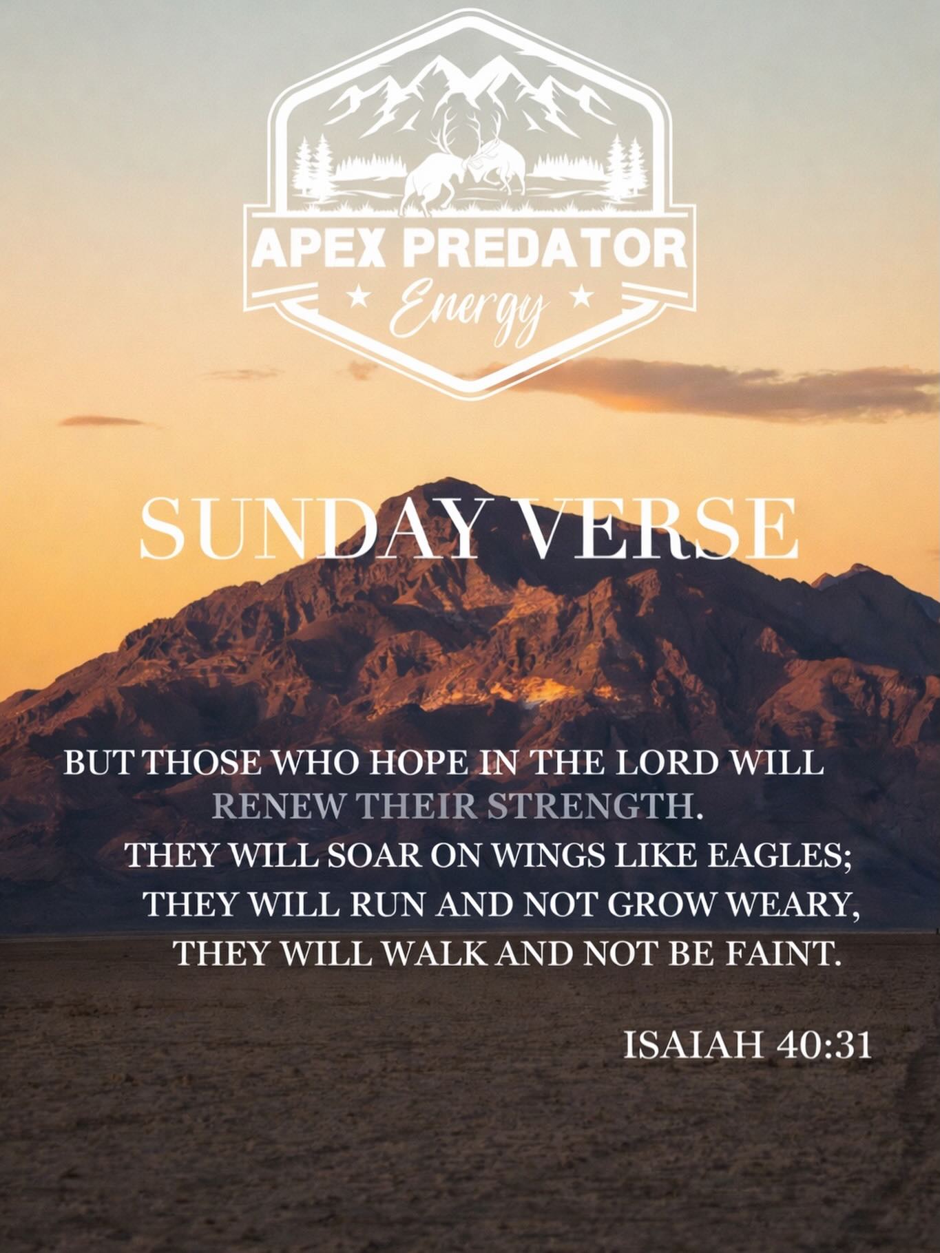 Strength isn’t just built in the gym or on the mountain.
It’s renewed in Him.
#sundayverse #apexpredatorenergy