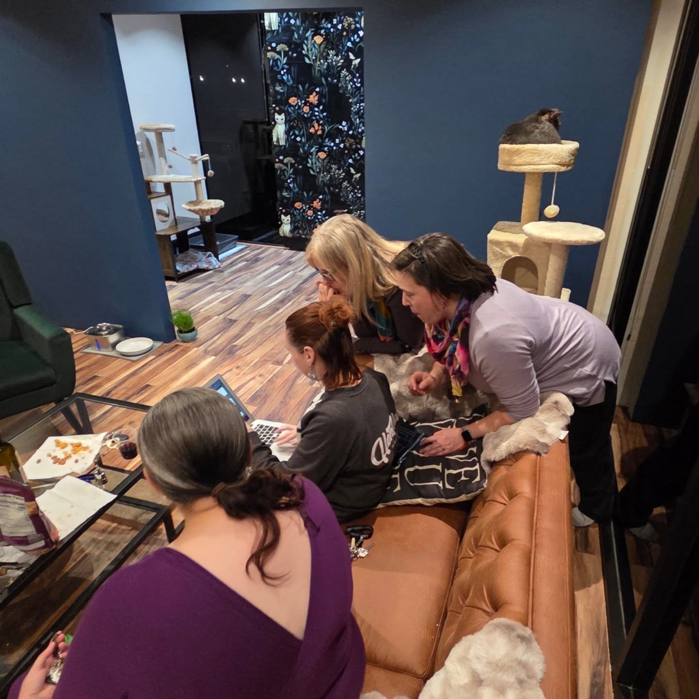 Mad work happening at the cat lounge!!!! Opening February 1st!