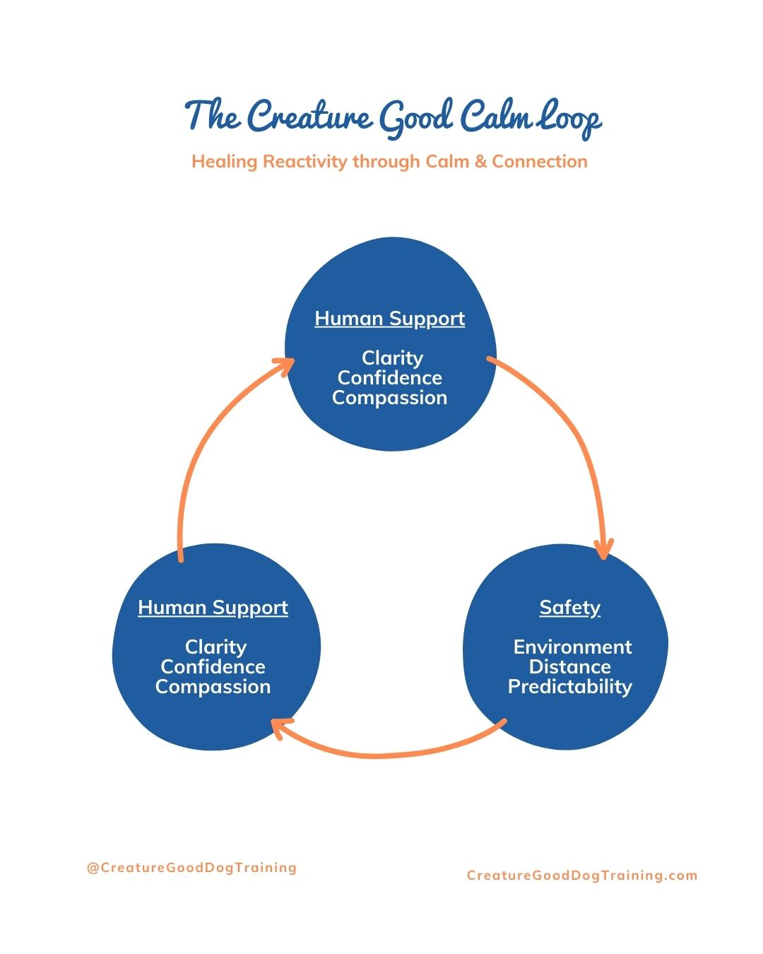 Reactivity doesnât heal because we âtry harder.â
It heals when the right supports are working together â over and over again. đđś
This version of the Creature Good Calm Loopâ° shows why healing reactivity is a process, not a checklist.
đĄď¸ Safety
Dogsđś canât learn when they feel overwhelmed. Thoughtful environments, distance from triggers & predictability give the nervous system a chance to settle. Safety isnât permissive â itâs practical.
đ Human Support
đŽClarity replaces guesswork.
đŽConfidence replaces constant self-doubt.
đŽCompassion replaces shame.
Reactive dogsđś do better when their humans feel supported instead of blamed â and that support matters at every stage of training.
đ The Loop
Notice thereâs no âfinish lineâ here. We move through these pieces again and again:
â°Adjust the environment
â° Support the human
â° Rebuild a sense of safety
â° Circle back with more clarity and confidence
Each pass through the loopâż builds a little more resilience â for both of you.
This is why progress with reactive dogsđś can feel slow and meaningful at the same time.
Youâre not failing when you revisit safety.
Youâre not going backward when you need more support.đŞ
Youâre doing the work the nervous system actually needs.
Reactivity heals through repetition, patience & connection â not pressure.â¤ď¸
If youâve ever thought, âWhy do we have to keep working on this?â
This is why. And itâs a good thing.â
Youâre not stuck!
Youâre building something solid â one calm loop at a time. đđž
If you want help figuring out which part of the loop needs the most support right now, Iâm here. DM me anytime.