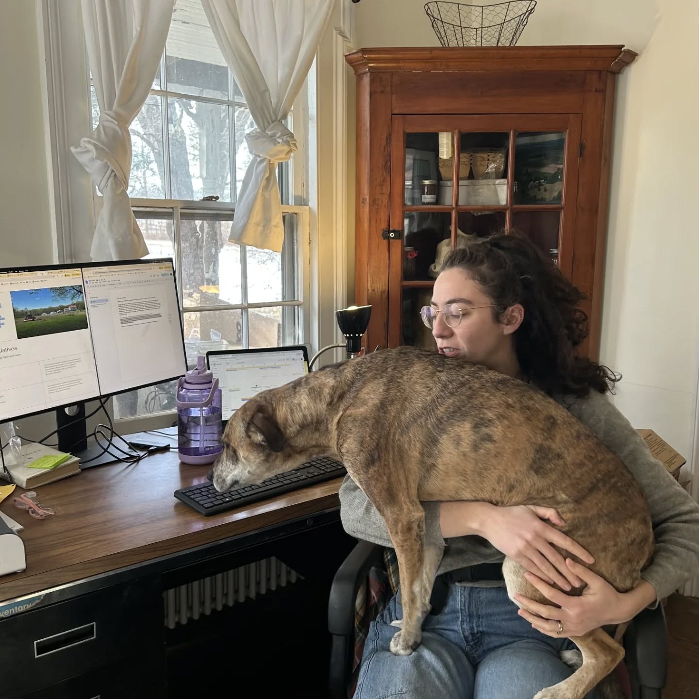Office days are way better with farm dogs! Amelia is hard at work today helping Ella with grant proposals 😂