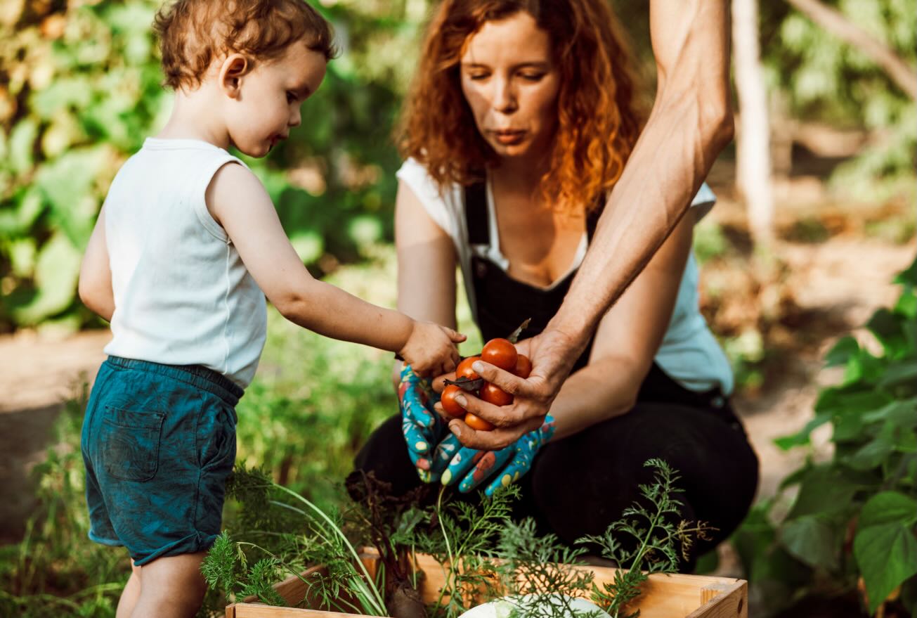 Thriving gardens aren’t necessarily safe #gardens 🌱 Healthy-looking #soil can still contain harmful contaminants, and it can often be more productive when truly regenerated. Safe soil = healthy food, people & planet. Don’t risk it, test it!
https://www.safesoil.co.uk/
#SafeSoilUK