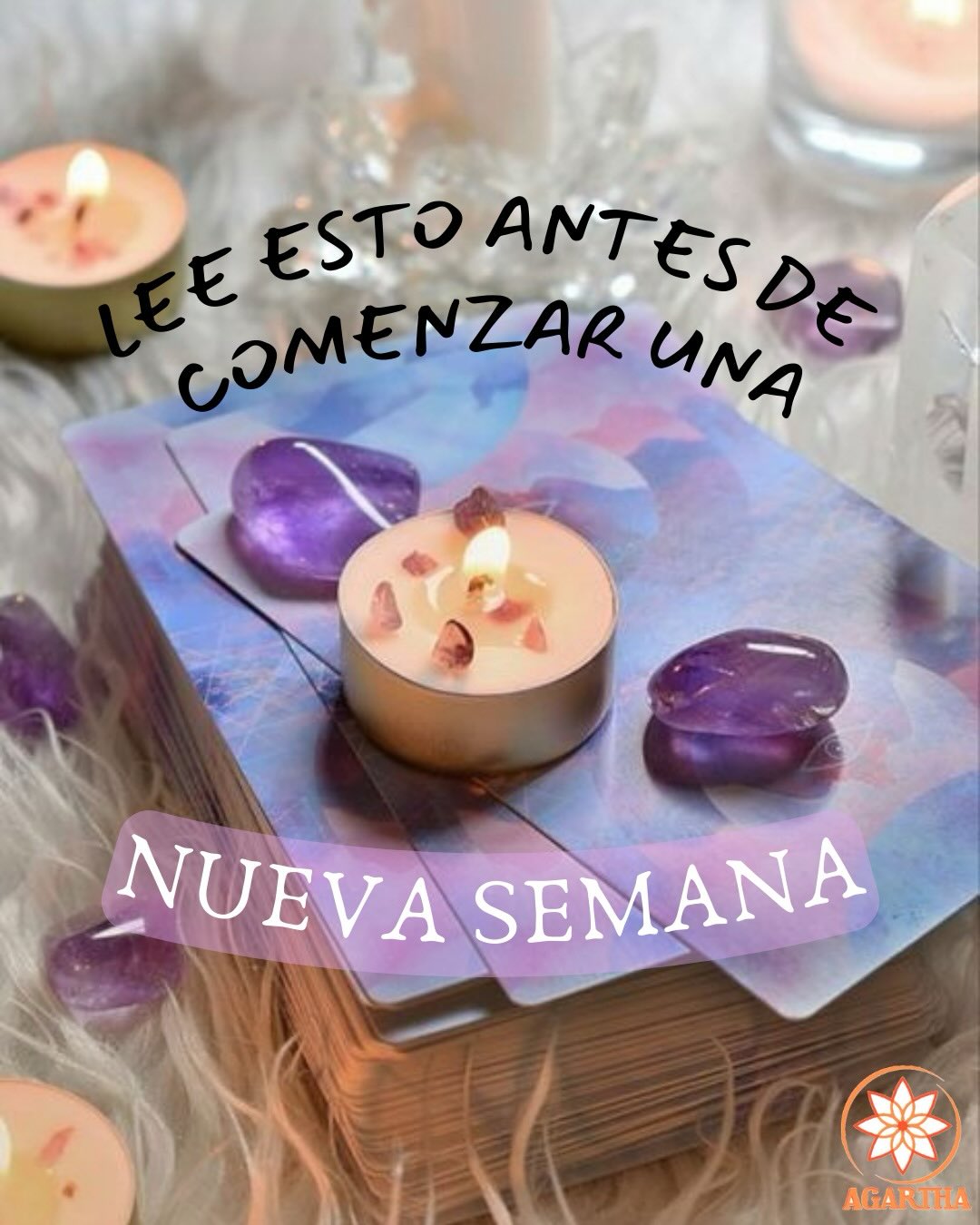 Antes de empezar la semana… lee esto 🧠✨
Esta semana es una nueva oportunidad para intentarlo con más ganas, más enfoque y más fe en ti. No importa cómo fue la anterior, lo importante es lo que decides hacer a partir de hoy. Ve paso a paso, pero no te detengas💛
#motivación
#frasesmotivadoras
#empiezalasemana
#lunesconactitud
#inspiración