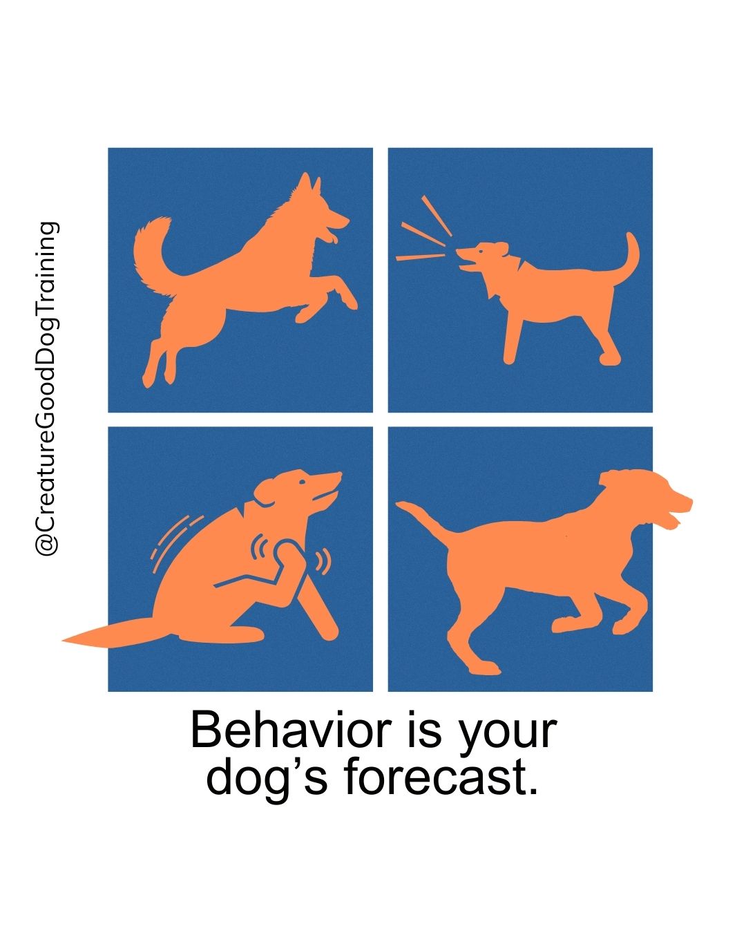 Your reactive dog is always speaking. Not with words, but with behaviors that reveal their inner world.
Destructive chewing says: “I’m anxious.”
Barking and lunging shout: “I’m overwhelmed.”
Pacing whispers: “I don’t feel safe.”
Regression pleads: “Too much change, too fast.”
The more your dog has on their emotional plate, the more you'll see these types of behaviors.
When you start to see reactivity as communication instead of “bad behavior,” everything shifts. The question changes from “How do I stop this?” to “What are you trying to tell me?”
An anxious dog needs security, not scolding.
A confused dog needs consistency, not chaos.
An overwhelmed dog needs space and simplicity.
Your reactive dog’s behaviors aren’t failures to correct. They’re emotions asking to be understood.
Drop a ☁️ if you’re ready to forecast your dog’s emotional weather for a calmer, more connected home.
