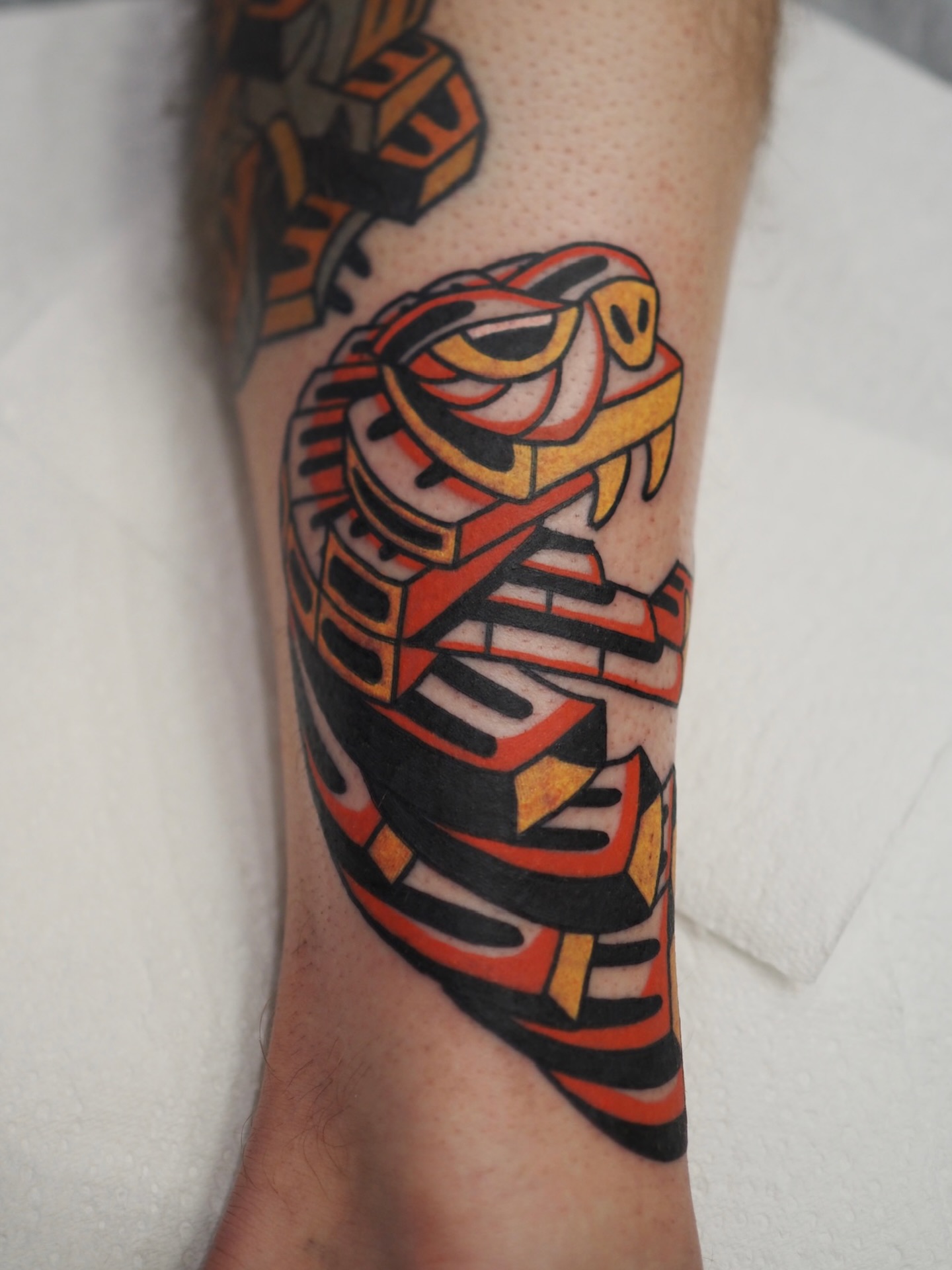 We know we’re almost half way through January already, but don’t let that stop you from adding one of Jessie’s pieces to your 2026 bucket list. In fact, we encourage it! Dm @jessiefoakestattoos to book!
.
.
.
.
.
.
.
.
.
.
.
.
#perthtattoo #colourtattoo #colortattoo #snaketattoo #abstracttattoo