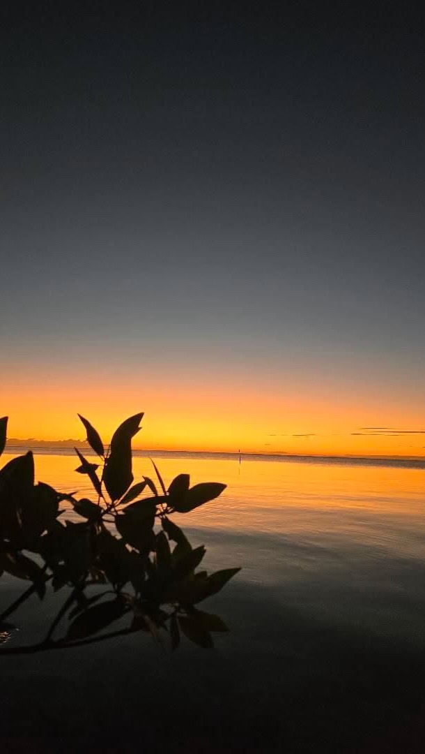 Moon Monday: Waning Crescent Moon in Scorpio| Preparing for the Capricorn New Moon
I am Ix Chel, and I draw you inward once more.
The Moon returns to Scorpio, inviting us into deep release as the lunar cycle comes to a close. This is the quiet before the New Moon, a time for shedding what no longer belongs to who you are becoming.
Scorpio energy asks for honesty beneath the surface. This is not about fixing or forcing. It is about listening to the subtle signals of the body and emotions and allowing what is heavy to dissolve.
We are moving toward the New Moon in Capricorn on January 18. Before we build again, we must clear the foundation.
Energy to Work With:
• Notice where emotional tension still lives in the body. Breathe into it gently.
• Release one pattern, habit, or belief that drains your energy.
• Spend time near water or in quiet reflection.
Reflection Prompt
What am I ready to release so I can step into the next cycle with clarity and strength?
The Moon reminds us that endings are sacred. What we release now becomes fertile ground for what is next.
Join us for our upcoming Moon Portal to work more deeply with this transition. Send us a message to be added to the list.
#MoonInScorpio #Ixchelwellnessresortl #Sanpedrobelize #wellnessresort #yogaretreat