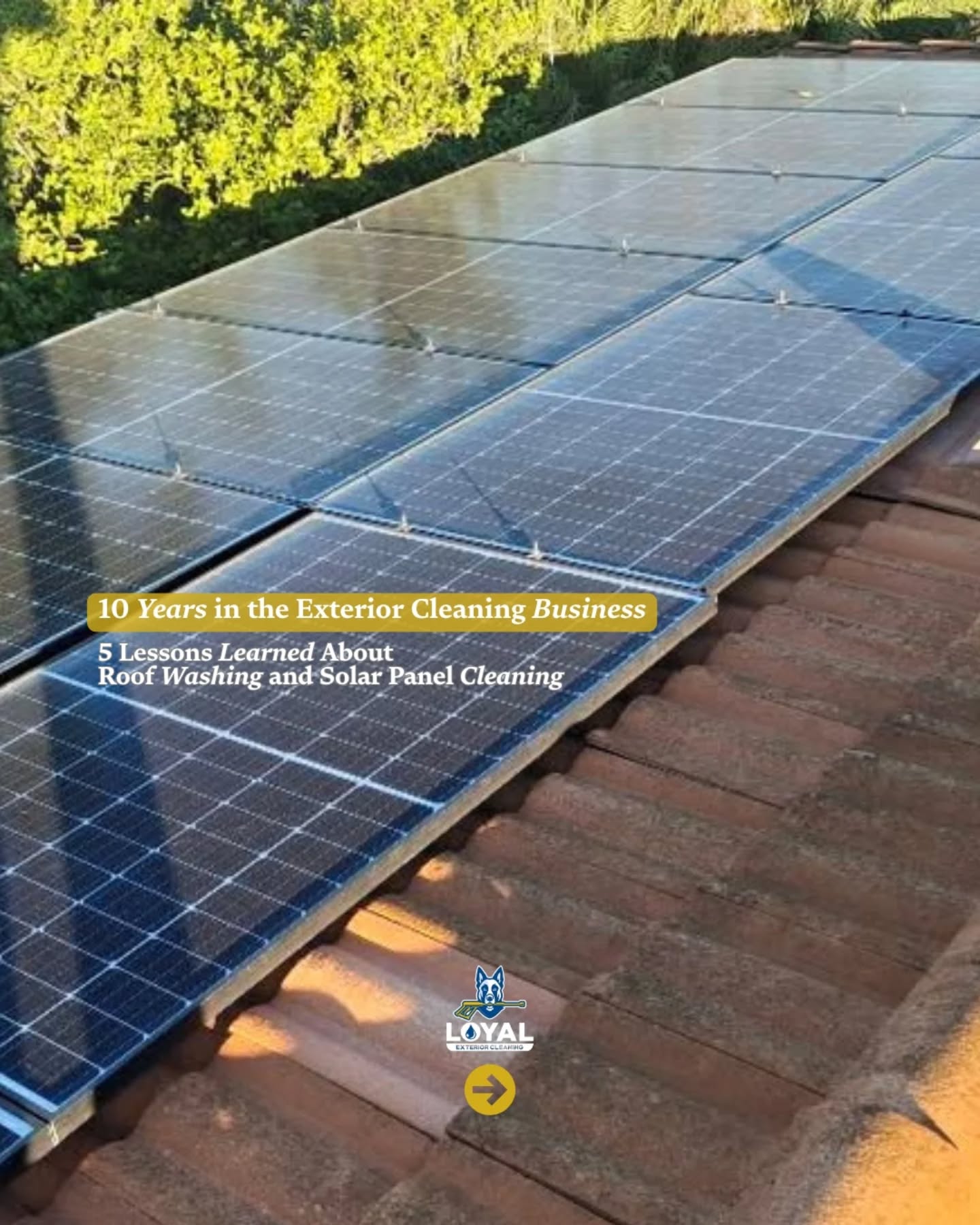 Ten years in the field teaches you things no tutorial ever will. 👀
💡 Over the past decade, we’ve seen what works and what causes damage and what homeowners often overlook. ☝️
🏠 If your roof has stains 🌿, moss 🤢, or buildup 😵💫, or if your solar panels aren’t producing like they used to, now is the perfect time to act! 🏃
👉 Getting ahead now means your roof and solar panels start the year in top shape! NO spring rush, no extra damage, and better performance all year long. 😍
☎️ FREE ESTIMATE | Call us today!
📲 714-831-7146
✅ Licensed • Insured • Safety-Certified
🌐 Book via link in bio
▪︎
▪︎
▪︎
▪︎
▪︎
#loyalexteriorcleaning #pressurewashing #windowcleaning #roofcleaning #solarcleaning