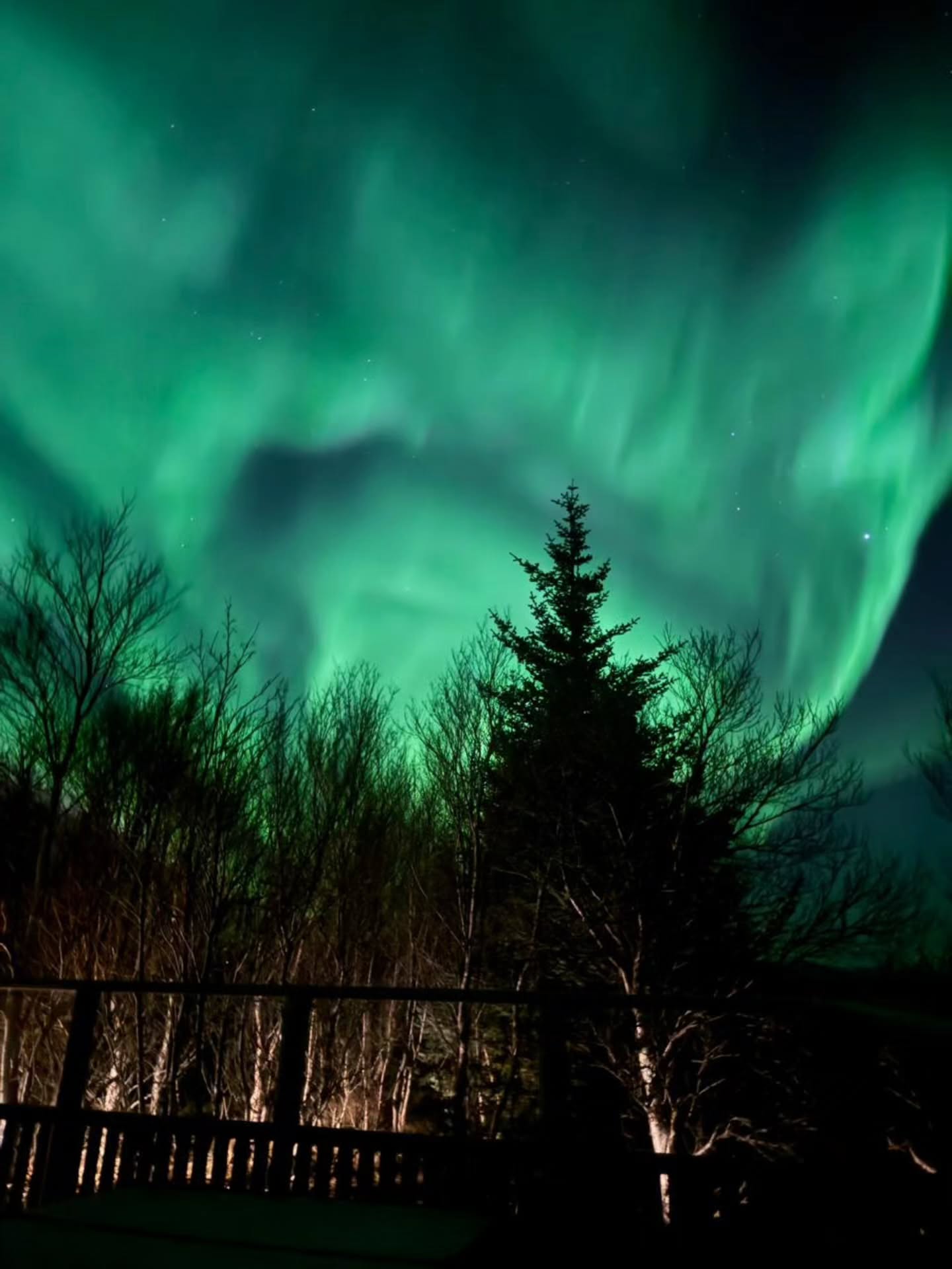 Northern lights in Iceland