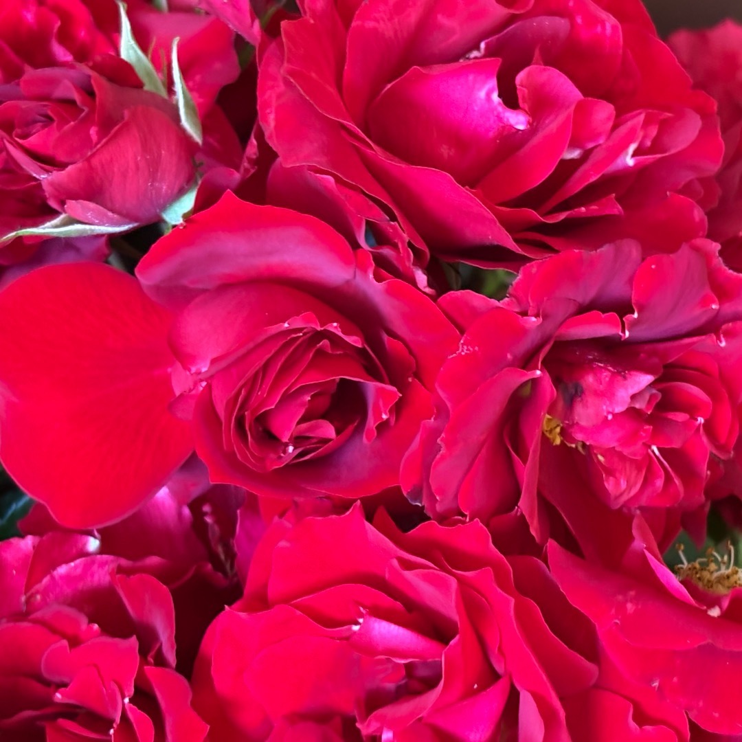 Loving Memory- strong and unforgettable