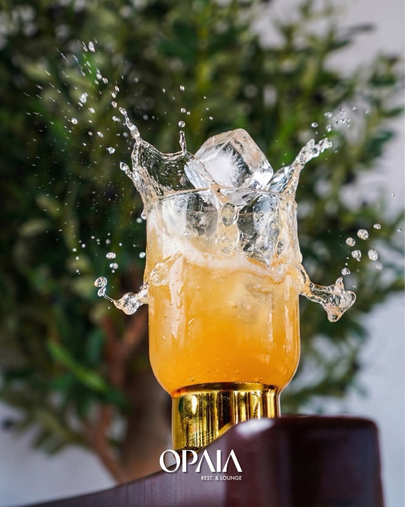 Cold, fresh, and made to hit different 💥🍹
One sip at OPAIA and you’re in the mood.
رشفة من اوبيا وتبدأ الأجواء
🕒 Daily: 7:00 AM - 3:00 AM
📍 Abu Dhabi Corniche - Lake Park
📞 050 403 0906
@opaia_lounge
#OPAIA #AbuDhabiCorniche #LakePark
#AbuDhabiRestaurants