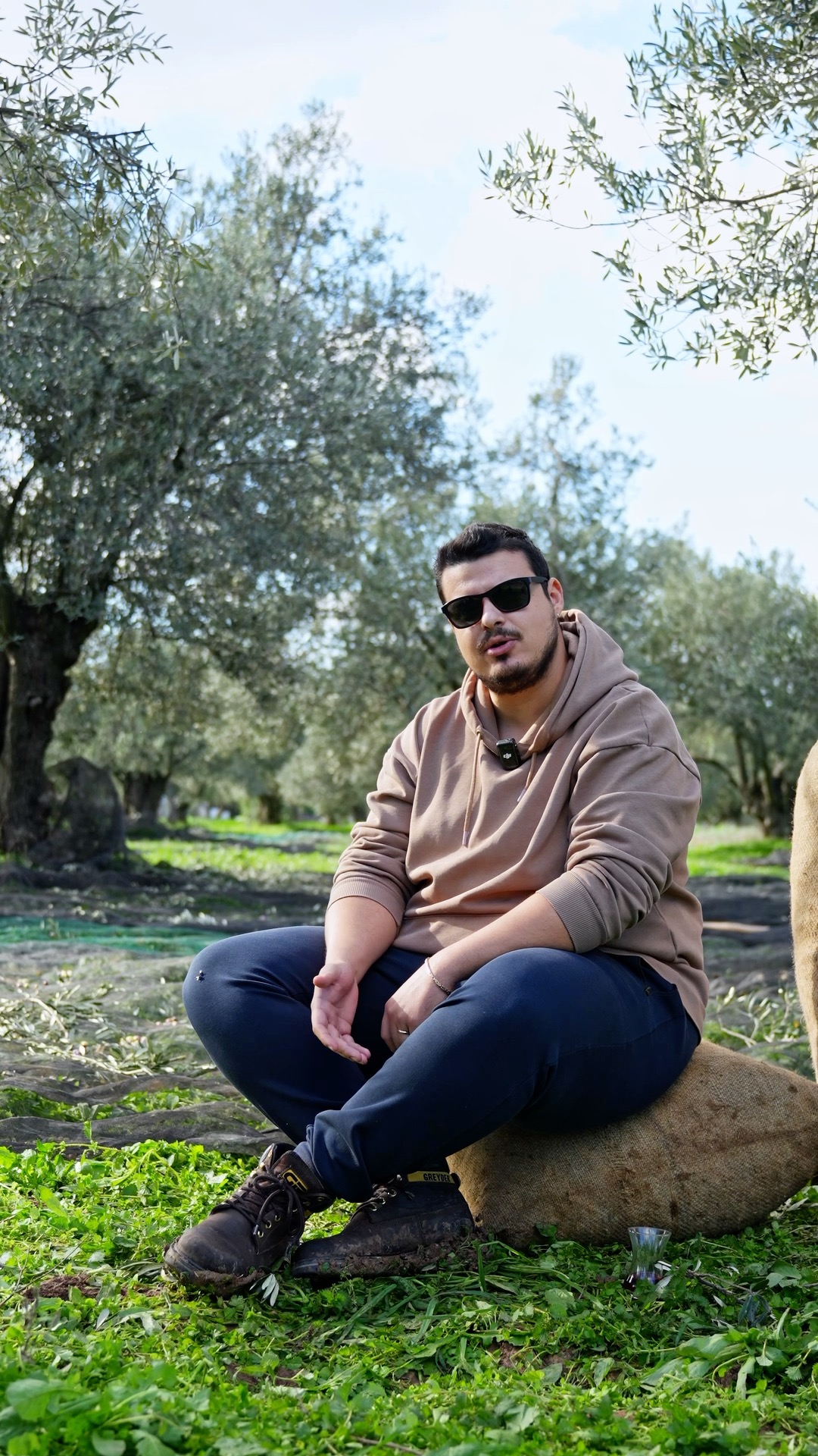 Zeytini erken toplamak bir tercih değil, bir bilgidir.
Eylül–Ekim hasadının sırrını videomuzda anlatıyoruz.✨
#cunda #cundaadası #zeytin #zeytinyağı #cundagözde