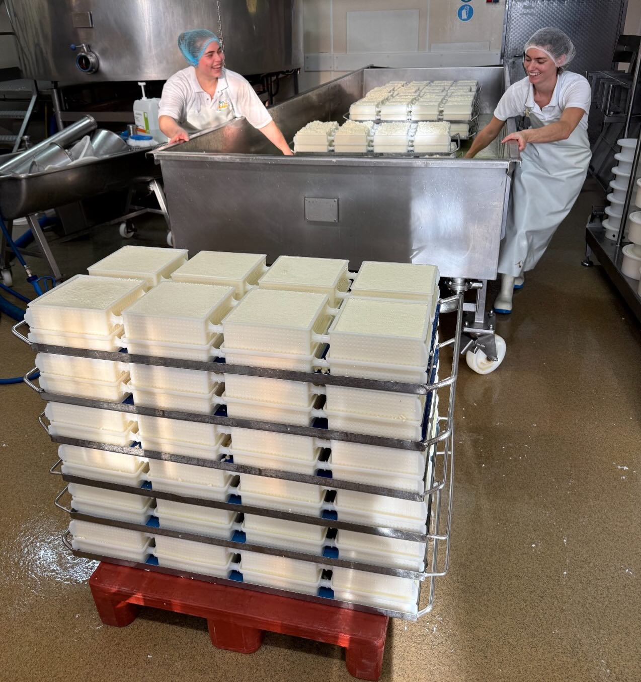 Geballte Mädelspower👧🧀💪 Bei uns arbeiten mittlerweile drei Mädels, die unsere Produktion tatkräftig unterstützen. ❤️ Hier muss man nicht nur etwas vom Handwerk verstehen, sondern auch ordentlich mit anpacken. Dabei kommt der Spaß bei der Arbeit nicht zu kurz. Mit einem Lächeln im Gesicht wird hier zusammen angepackt, um unsere super leckeren Bio-Heumilch Käsesorten mit viel Liebe herzustellen. Und wisst ihr was? Bei uns kann man auch eine Ausbildung zum Milchtechnologen/-in machen. Kathi und Nadja stehen euch für Fragen zur Verfügung. #Handwerk #mädelspower #zusammenhalt #käseliebe #