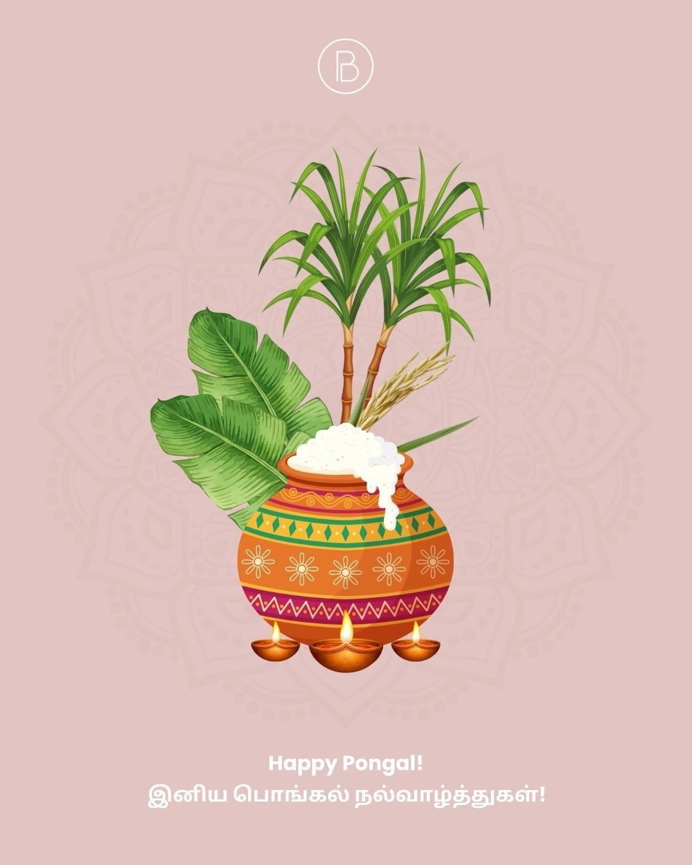 இனிய பொங்கல் நல்வாழ்த்துகள் 🌾
Wishing everyone celebrating a Happy Pongal 🌾
Wishing you abundance, gratitude, and joy this festive season. ✨