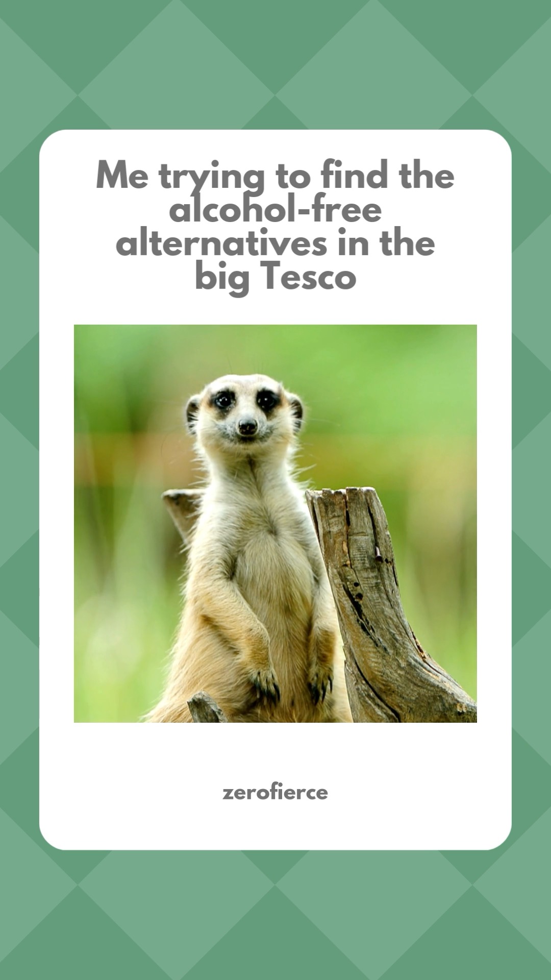 Bloody supermarkets.