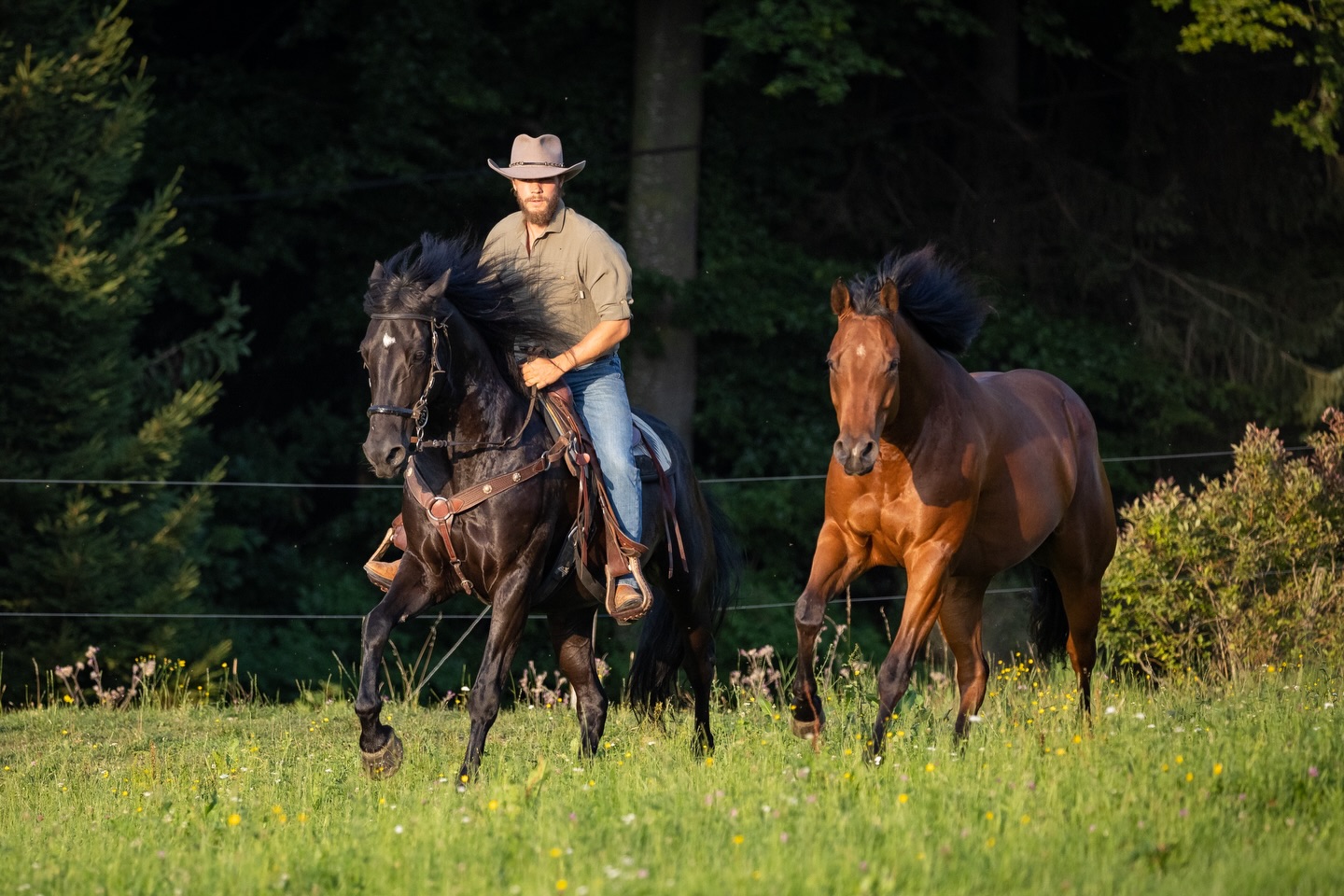Getragen vom gleichen Takt
Jedes Mal schön zu sehen, wie sich diese Tiere aufeinander einstimmen und innerhalb kürzester Zeit denselben Rhythmus finden.
Zusammen werden sie eine Einheit – eine Herde.
Gemeinsam stark, allein verletzlich.
Genau das wünschen wir uns auch für unsere Welt.
Wenn wir Menschen zusammenhalten, können wir so viel bewegen.
Ein kraftvolles Beispiel dafür sind die Mönche, welche gerade von Texas nach Washington D.C. unterwegs sind.
Sie stehen für Zusammenhalt, Werte, Gemeinschaft –
für Menschlichkeit und Verbundenheit.
Danke dir @horses_and_lights & @nicoleheilingphotography fürs einfangen dieser schönen Momente :)
#community #connection #collectiveHealing #peacefulResistance #humanityFirst