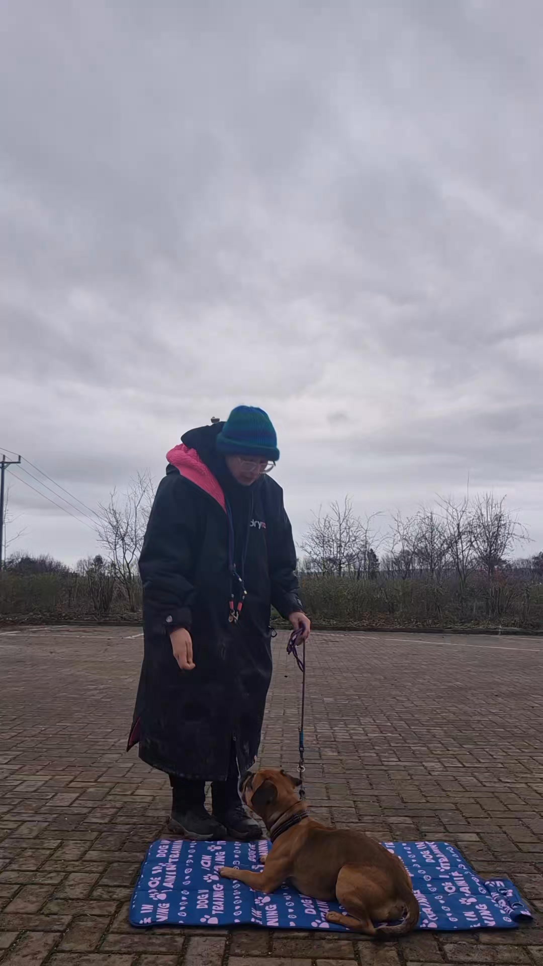 A solid public down-stay starts with clarity: a settle mat helps for context + a continuation marker ("good") for communication.
Calm is a skill -- not a coincidence.
👉DM me if your dog finds it hard to relax in public spaces.
#dogtrainingtips #settlemattraining #downstay #publictraining #dogbehaviourtraining