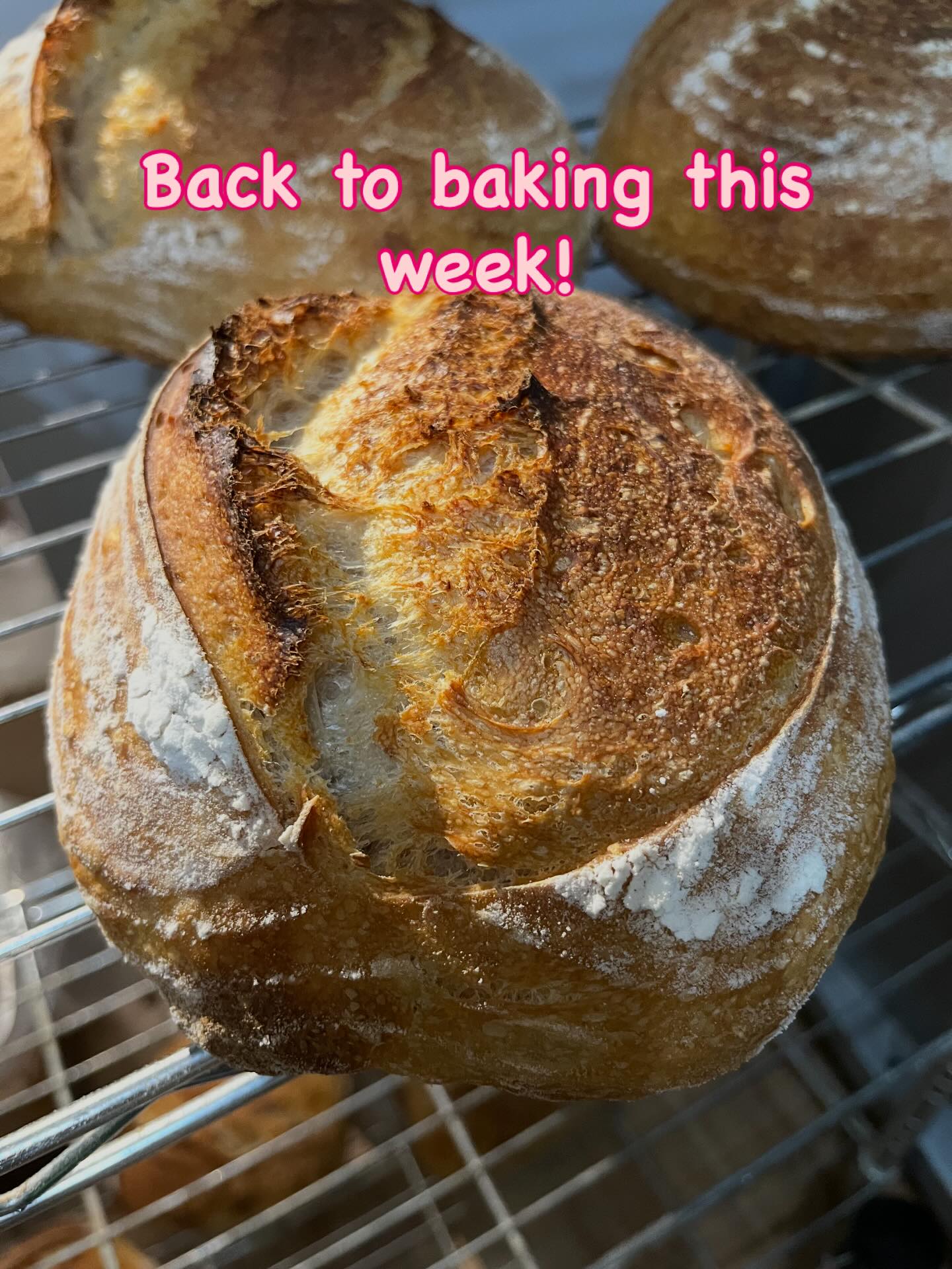Good morning! Just wanted to remind you that the bakery is back open from the Christmas break and rearing to give you the best bread and pastries that can be made. We’ll be at @housetohavendecor from 10.30am on Saturday with a few specials to kick things off.