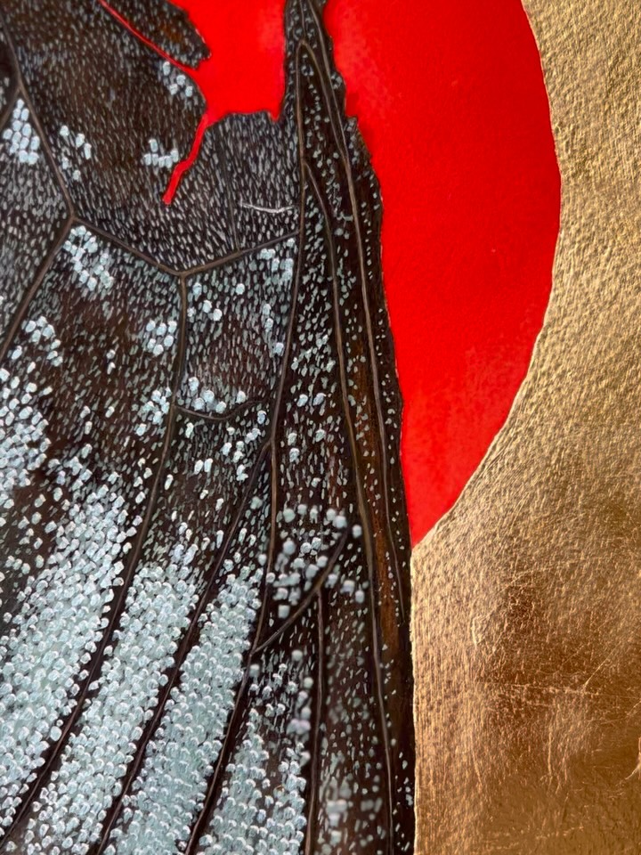 You remember my box of treasures? Butterfly wings, stamped flowers, weird leaves- collected over years, and from across the country.I decided to paint them.
And since they’re treasures, well, they need to be treated with reverence.
Here’s, the first treasure, many more to come. ❤️