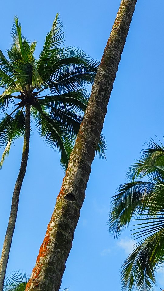 New service!✨
For all the Inner-Core Events, you have the possibility to reserve items so you can try them on! With this, I can help you find the best fit that compliments your body.
Note: You don't have to be part of the Event itself. Depending on the requests, we might schedule a separate moment!
Send the item(s) and size(s) to email: info@perzikswimwear.com
With 'Fitting Request' as your subject!
#fitting #perzikswimwear #reserve