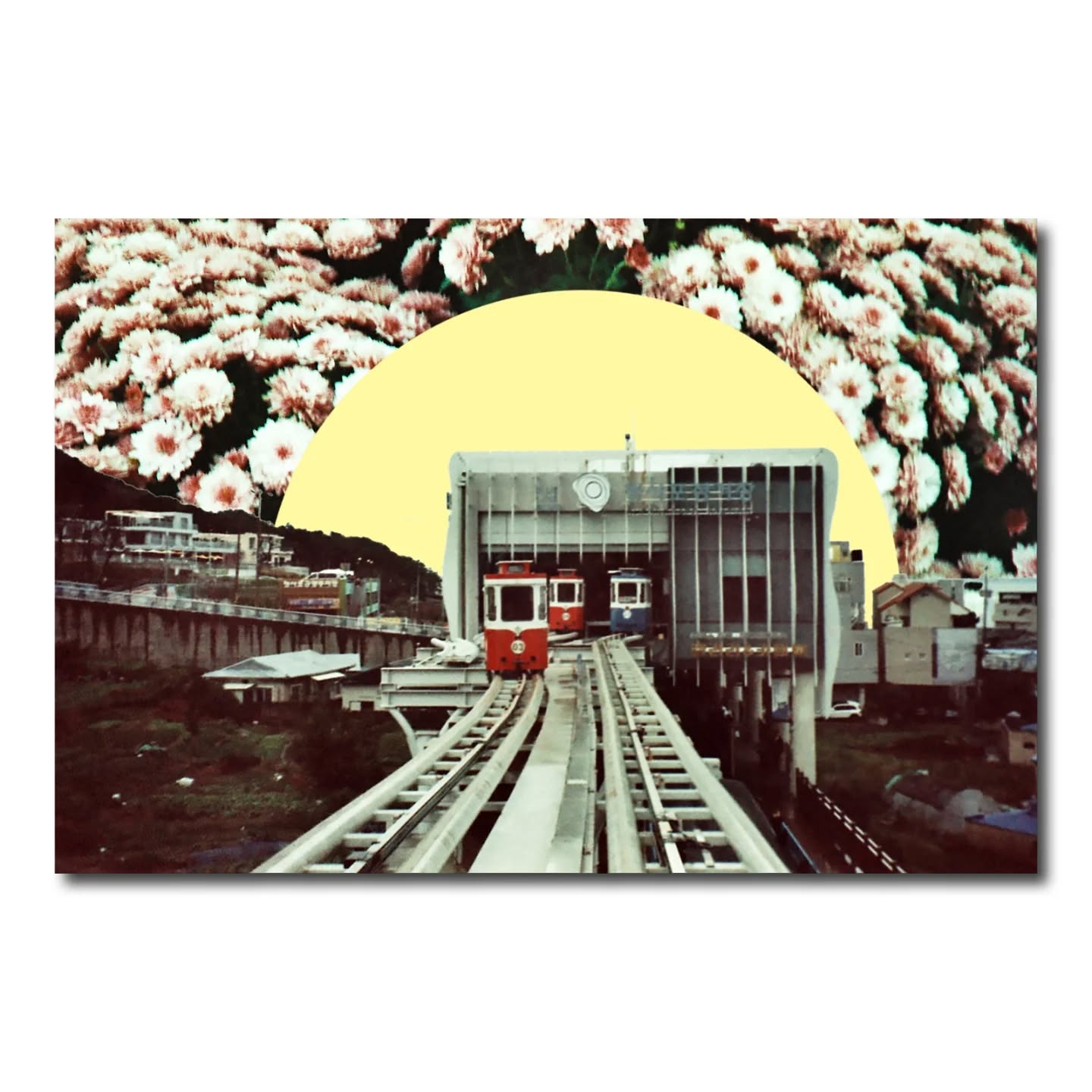 Printed digital Photography collage from analog scans
Prints on Hahnemühle Photo Rag
1. Haeundae Flower Capsules, A3 (29.7 x 42 cm), series of 10
Taken with Nikon AF200
Can be framed
#photography #collage #luxembourg #busan #art