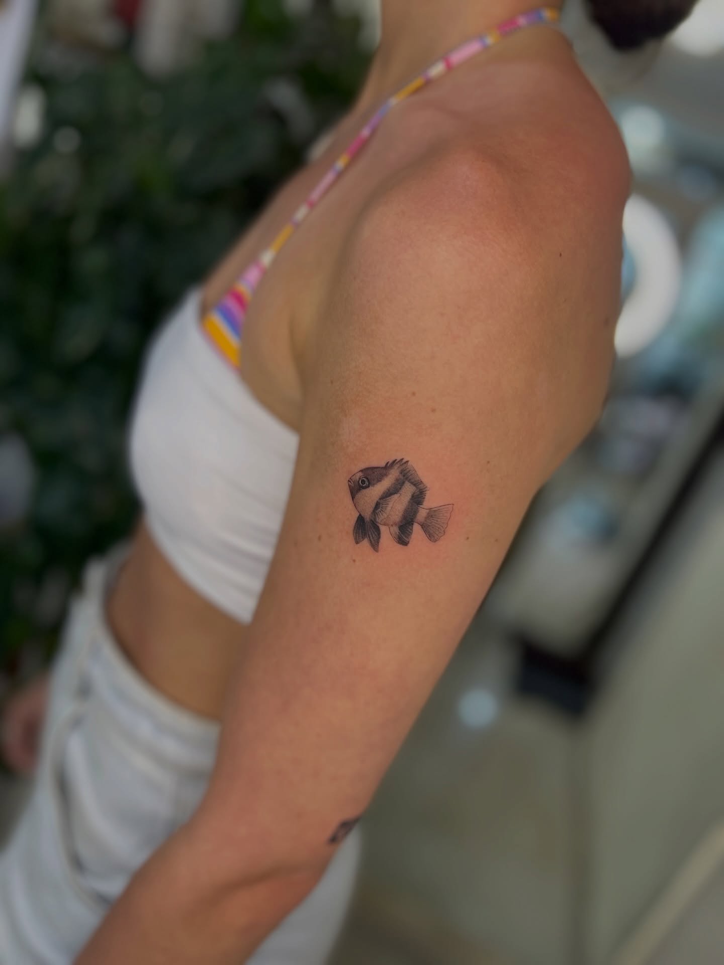 Get inked by the best! Fineline tattoo specialist, highly recommended! DM us for bookings and inquiries.
#fineline #tattoo #ink #bali #holiday