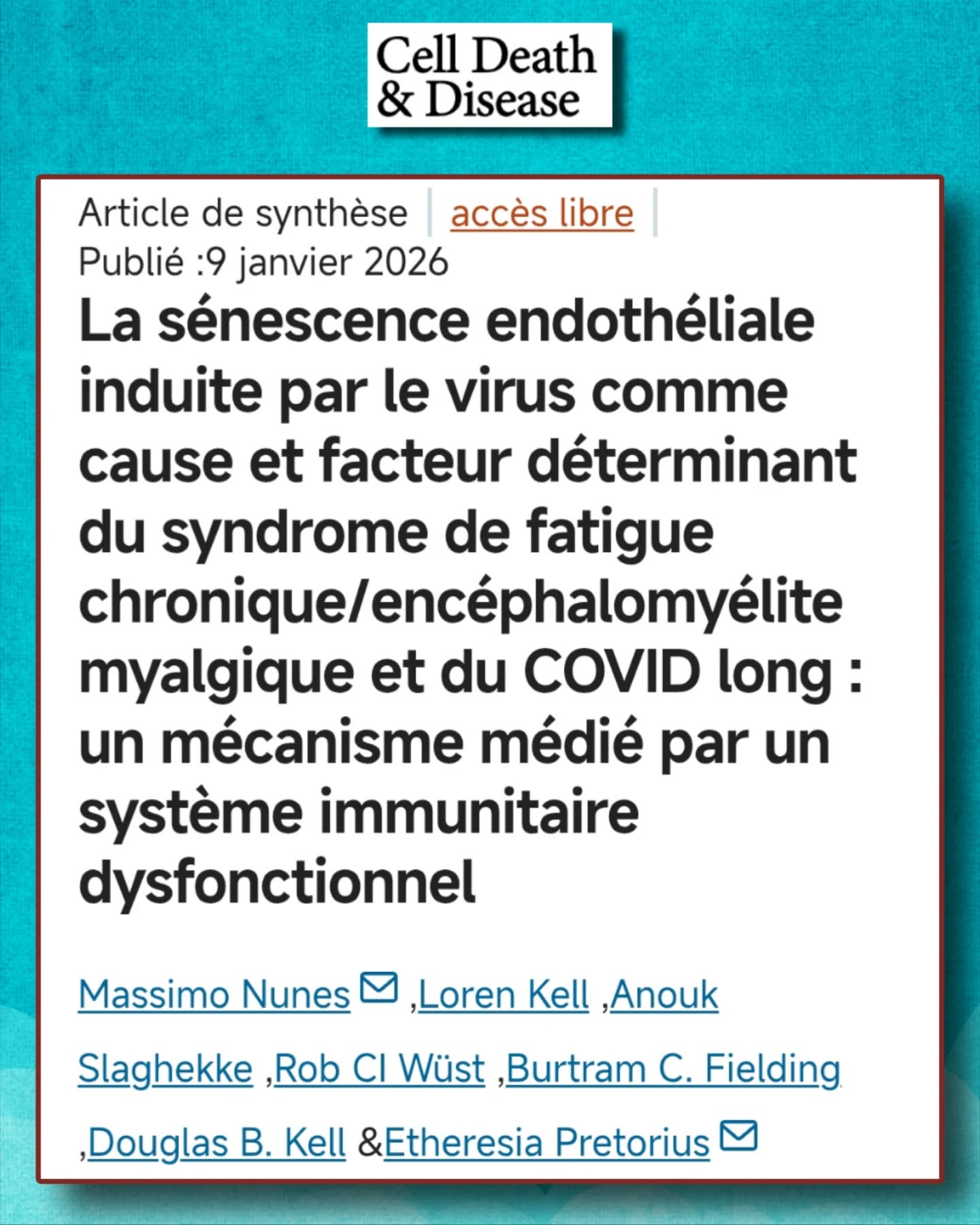 🧵Une nouvelle revue majeure (Cell Death & Disease, 2026) propose un mécanisme central commun au Covid Long et à l’Encéphalomyélite Myalgique :
la sénescence de l’endothélium induite par les virus.
Le #CovidLong et l’ #EM sont des maladies post-virales multisystémiques, sans mécanisme unificateur reconnu jusqu’ici.
Cette revue propose un modèle cohérent reliant :
🦠Infection virale
🩸Vaisseaux sanguins
🧠Système immunitaire
⏳Chronicité
💡Hypothèse centrale :
Les infections virales aiguës (SARS-CoV-2, grippe, EBV, HHV-6…) induisent une sénescence des cellules endothéliales (cellules qui tapissent les vaisseaux).
➡️ Ces cellules ne meurent pas, mais deviennent dysfonctionnelles.
🔬 La sénescence endothéliale entraîne un profil appelé SASP (Senescence-Associated Secretory Phenotype) :
🔥Inflammation chronique
🩸Hypercoagulation
🧲Adhérence cellulaire
🧪Stress oxydatif
🚫Vasoconstriction
🩸Conséquence clé :
👉Mauvaise régulation du flux sanguin et de la perfusion tissulaire, notamment :
🧠Cerveau
💪Muscles
🫀Organes
Ce qui correspond aux observations cliniques chez les patients.
🧠Cela permet d’expliquer :
•Baisse du débit sanguin cérébral
•Troubles cognitifs / brain fog
•Intolérance orthostatique
•Dysfonction de la barrière hémato-encéphalique
➡️ sans lésion neurologique classique.
💪Pour les muscles :
Une perfusion inadéquate + inflammation + vasoconstriction =
⚠️Mauvaise extraction de l’oxygène
⚠️Accumulation de déchets
➡️Intolérance à l’effort et Malaise Post-Effort MPE
🩸L’endothélium sénescent favorise aussi :
•Activation plaquettaire
•Facteurs procoagulants (vWF, TF, PAI-1)
➡️microcaillots fibrinoïdes persistants, décrits dans le CovidLong et l’ EM.
🛡️Pourquoi cela persiste-t-il ?
Parce que le système immunitaire est lui-même dysfonctionnel :
❌Clairance inefficace des cellules sénescentes
❌Épuisement NK, T, complément
➡️ cercle vicieux endothélium↔️immunité.
🔁Relation bidirectionnelle :
•L’immunodysfonction entretient la sénescence endothéliale
•La sénescence endothéliale entretient l’inflammation et l’immunodysfonction
➡️ chronicité post-virale.
⏬Suite en commentaire⏬ @resia.pretorius @robw1882