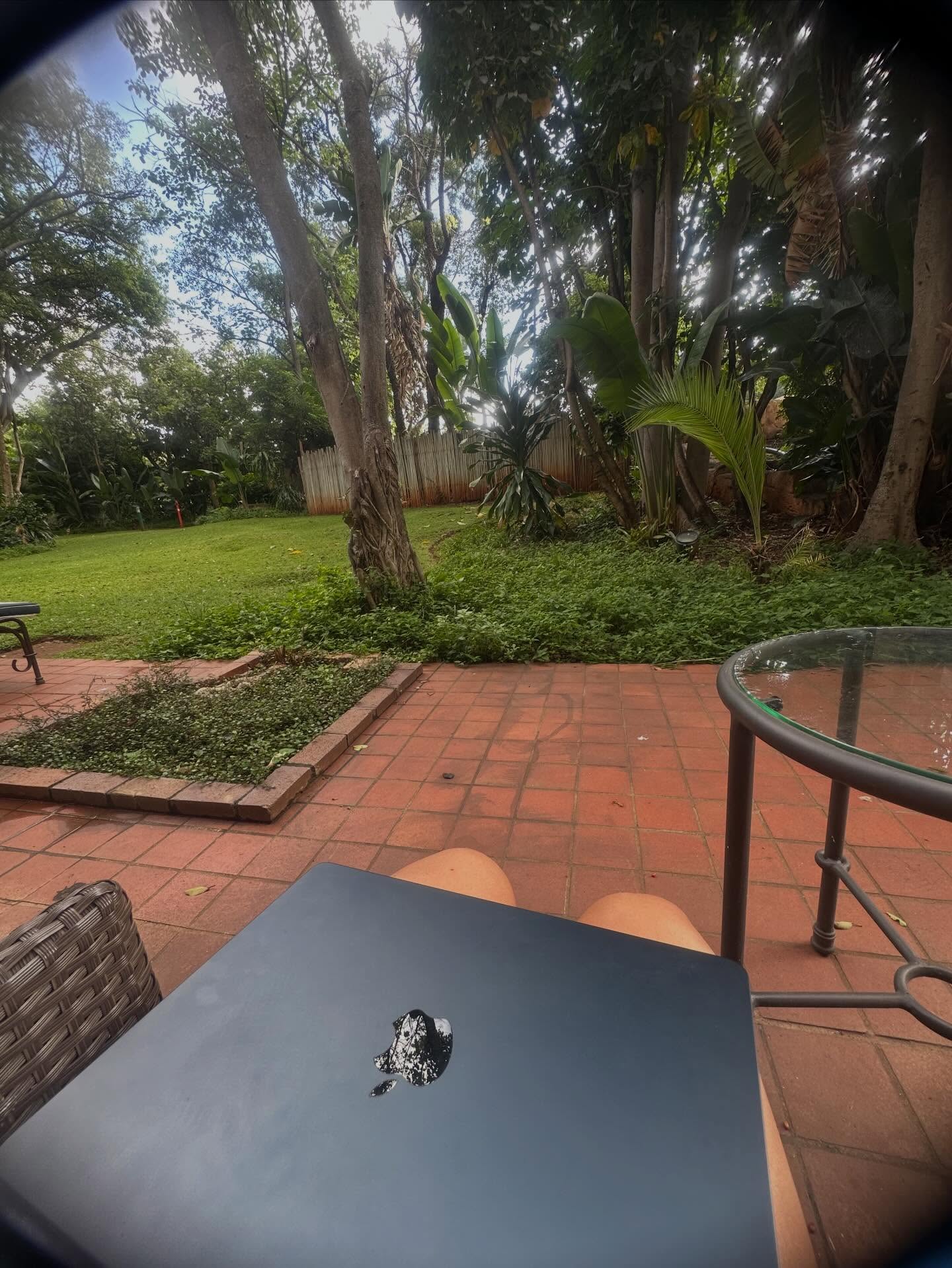 School holidays ending like:
Kids still feral.
Work fully operational.
Remote work with kids at home means emails sent between snack requests and meetings powered by coffee and top-knots.
Entrepreneurship doesn’t clock out — it adapts 😌💻