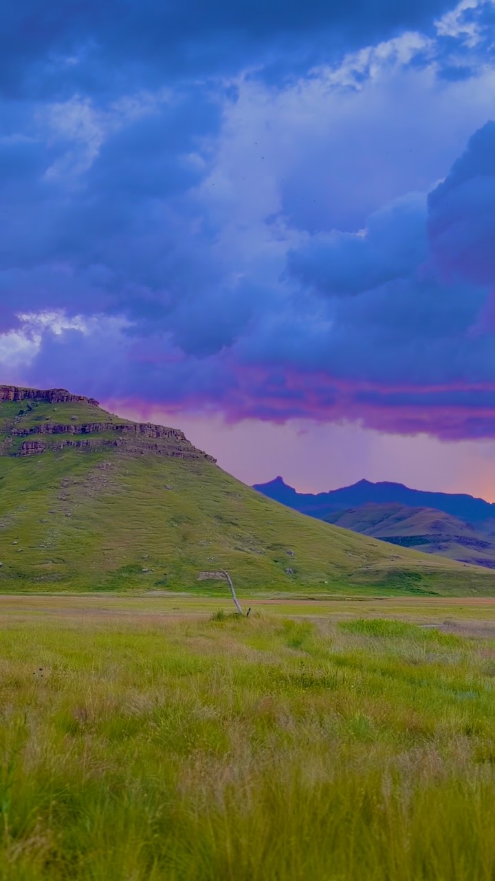 Where words fall short and nature speaks for itself. Photos can’t hold this magic—you have to be here.
📍Giants Cup Wilderness Reserve
#nature #drakensberg #naturelovers #drakensbergmountains #beautifuldestinations #getaway #beautifulplaces #beautifulsouthafrica #goplaces #weekendgetaway