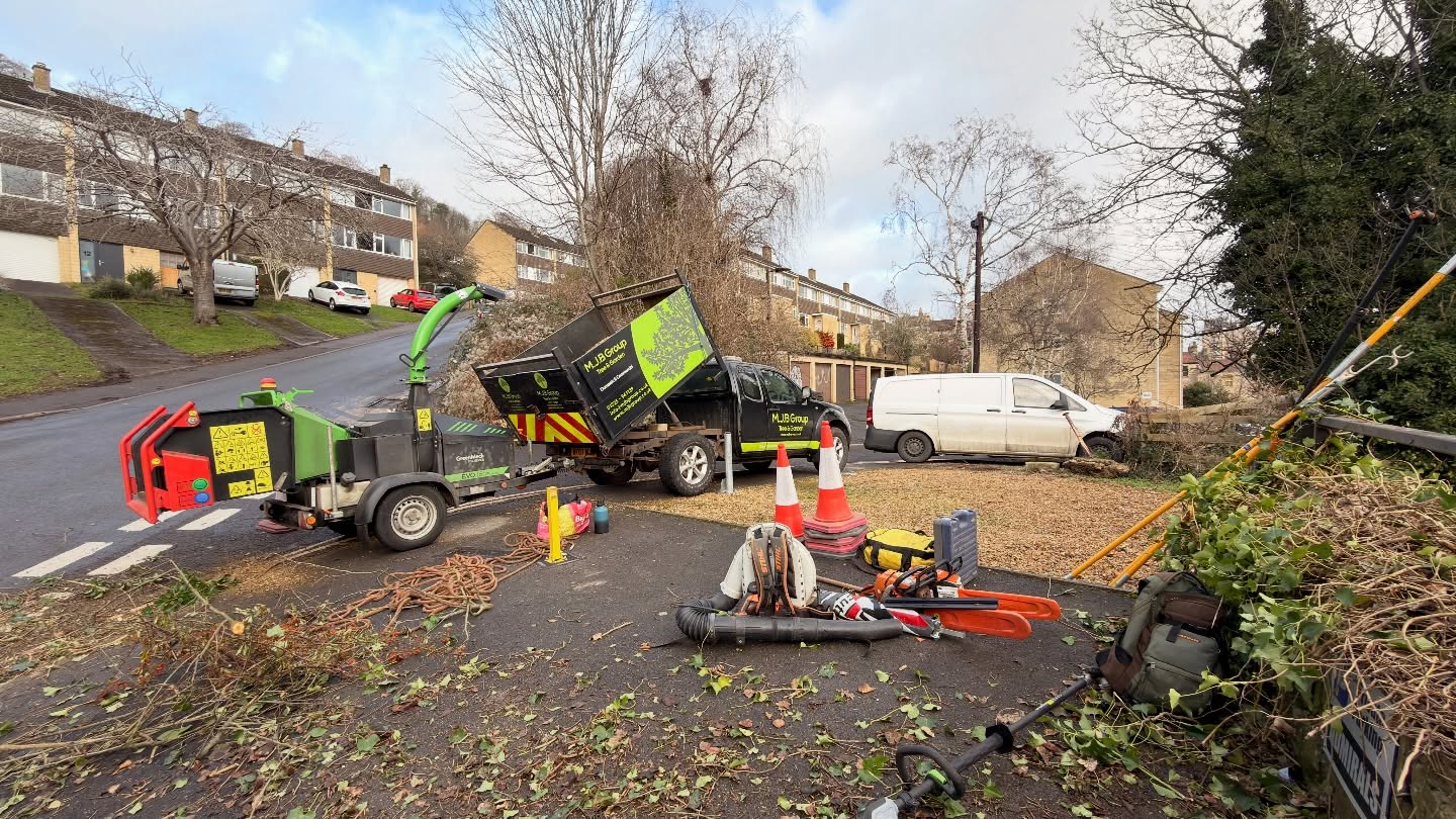 Monday take-down in the heart of Bath 🌳🏙️
Today’s job took us right into the centre of Bath, with very limited access. Everything was done via ladder access into the garden, and all brash carefully carried back up the ladder between the three of us so it could be chipped 🙌 True teamwork on this one.
The task was the removal of a Crab Apple tree, the first step in clearing the garden and getting it ready for some big future landscaping plans 🌿✨ Logs were hauled up and over the wall using a self-made pulley system 😂 — not glamorous, but it gets the job done.
A solid start today, and we’ll be back tomorrow to finish up and leave the site fully cleared and ready for the next stage 👍
#TreeTakedown #CrabAppleTree #UrbanTreeWork #CityCentreJobs #LimitedAccess TreeSurgery GardenClearance LandscapingPrep TeamWork BathUK ProfessionalTreeWork MJBGroup