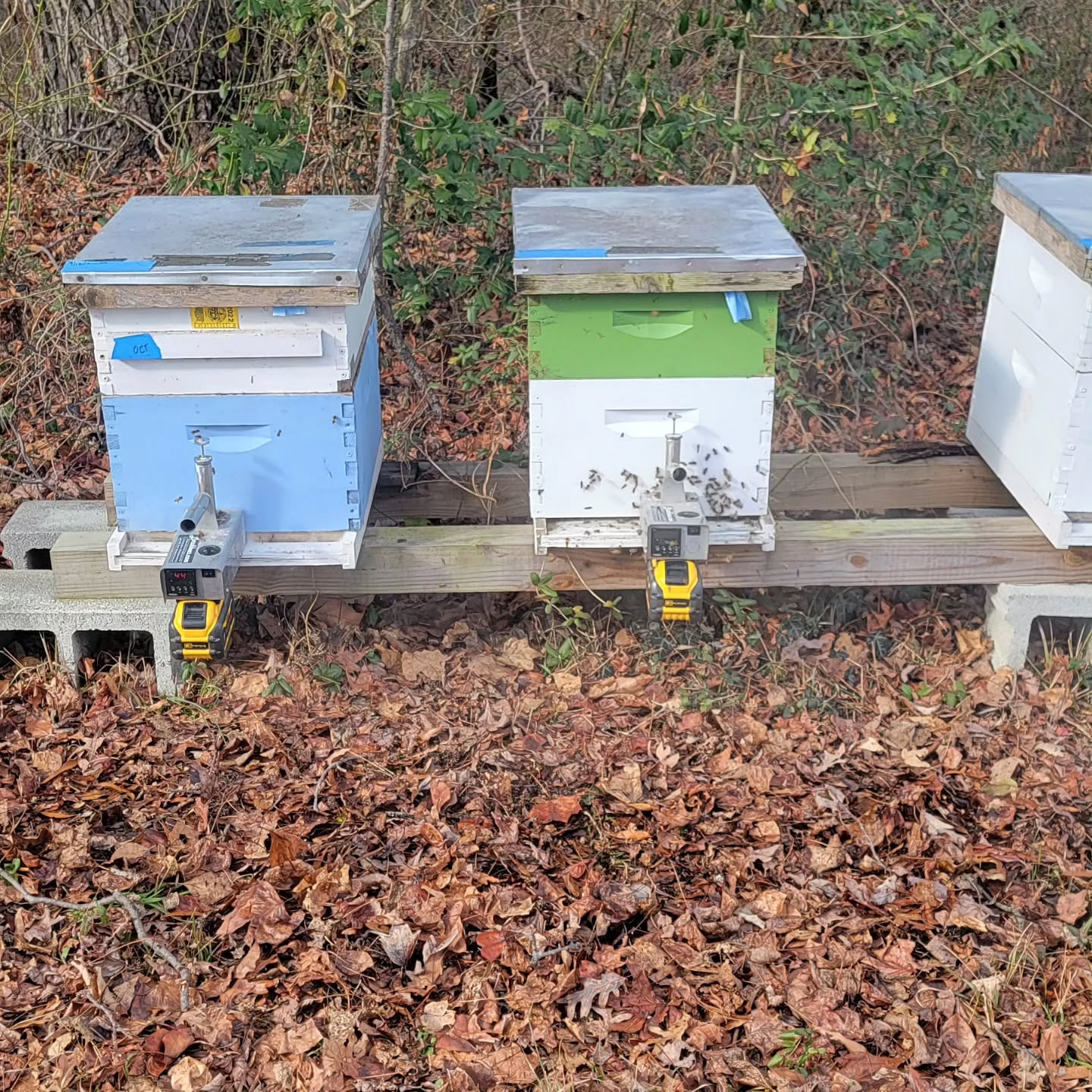 Sunday was a nice day for winter mite treatments! There's still time to get your treatments done. These instavapes make things easy and fast!