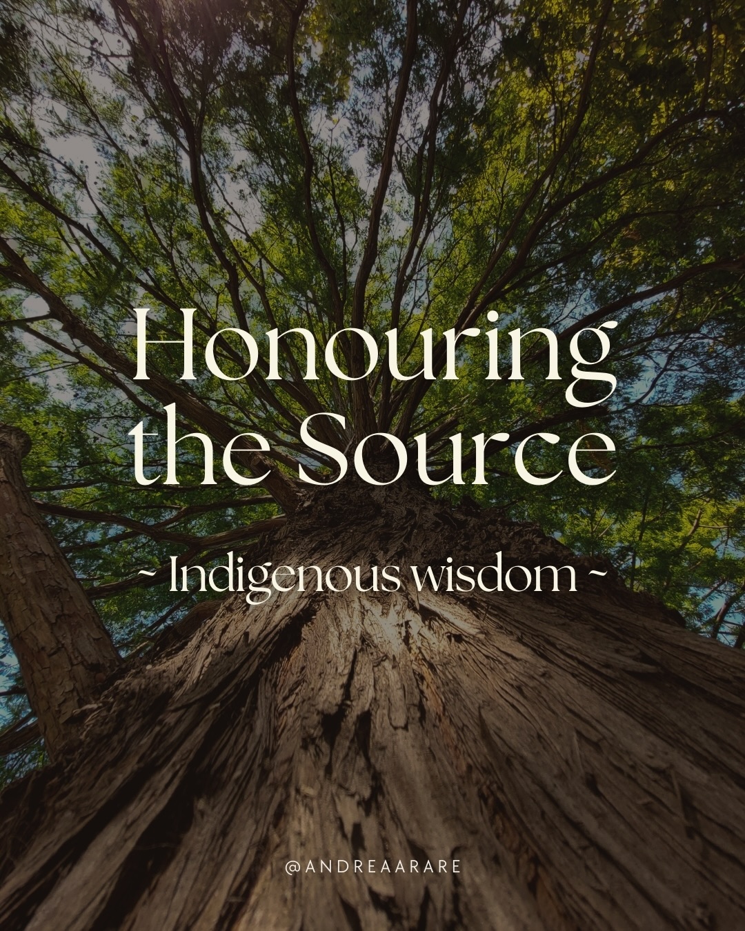 To honour the source is to honour Nature.
Not as an idea, but as a living, breathing intelligence.
When we listen again, the land continues to teach
patiently, faithfully, without ever withholding its wisdom.
Listening to the land teaches us how to listen inwardly.
Swipe ➡️ to learn more 🌳
#earthwisdom #naturewisdom #mothernature #indigenouswisdom