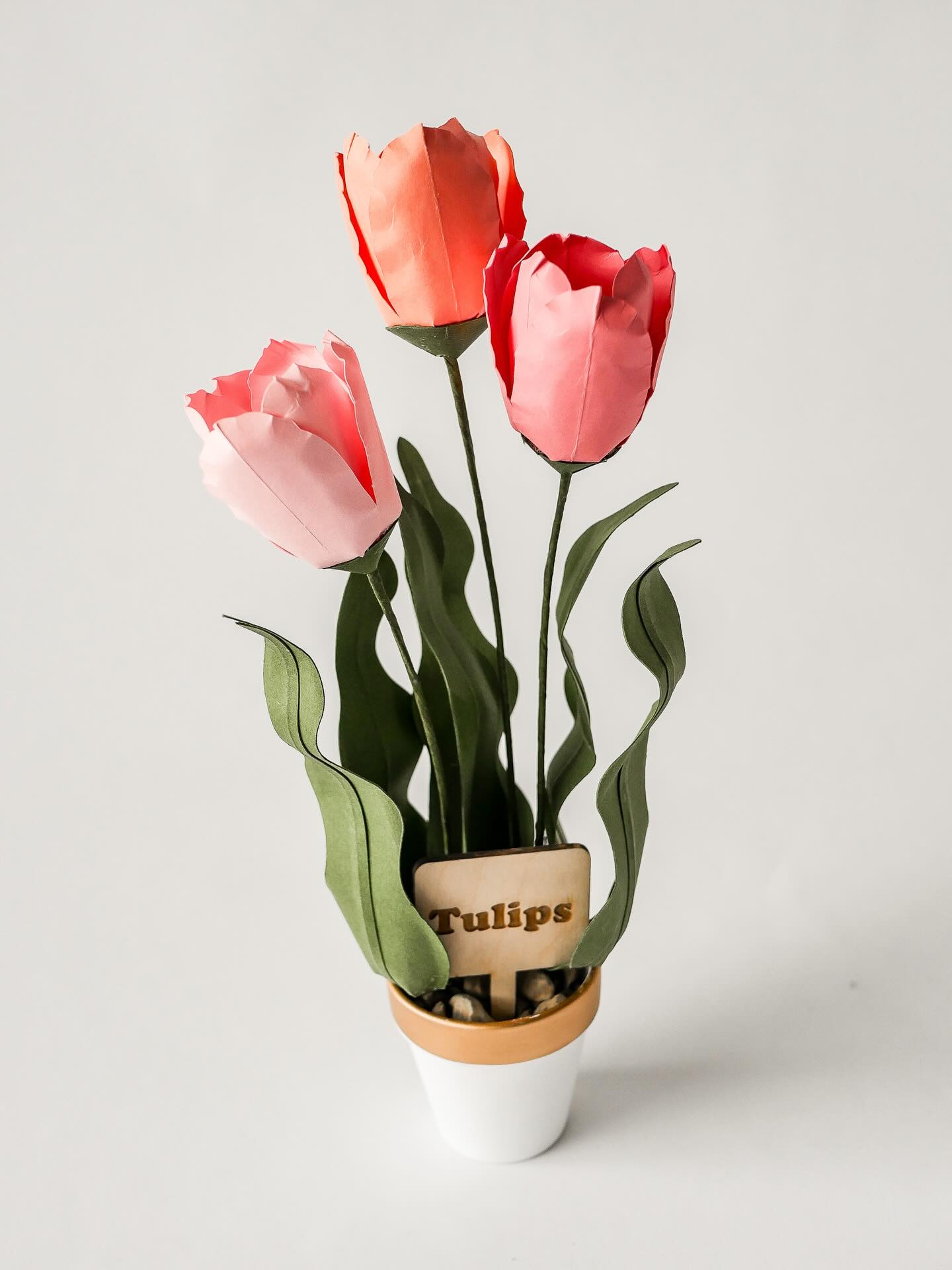 Can’t wait for spring 🌷🌷🌷
2 out of 4 from our international order
Should I release this template?