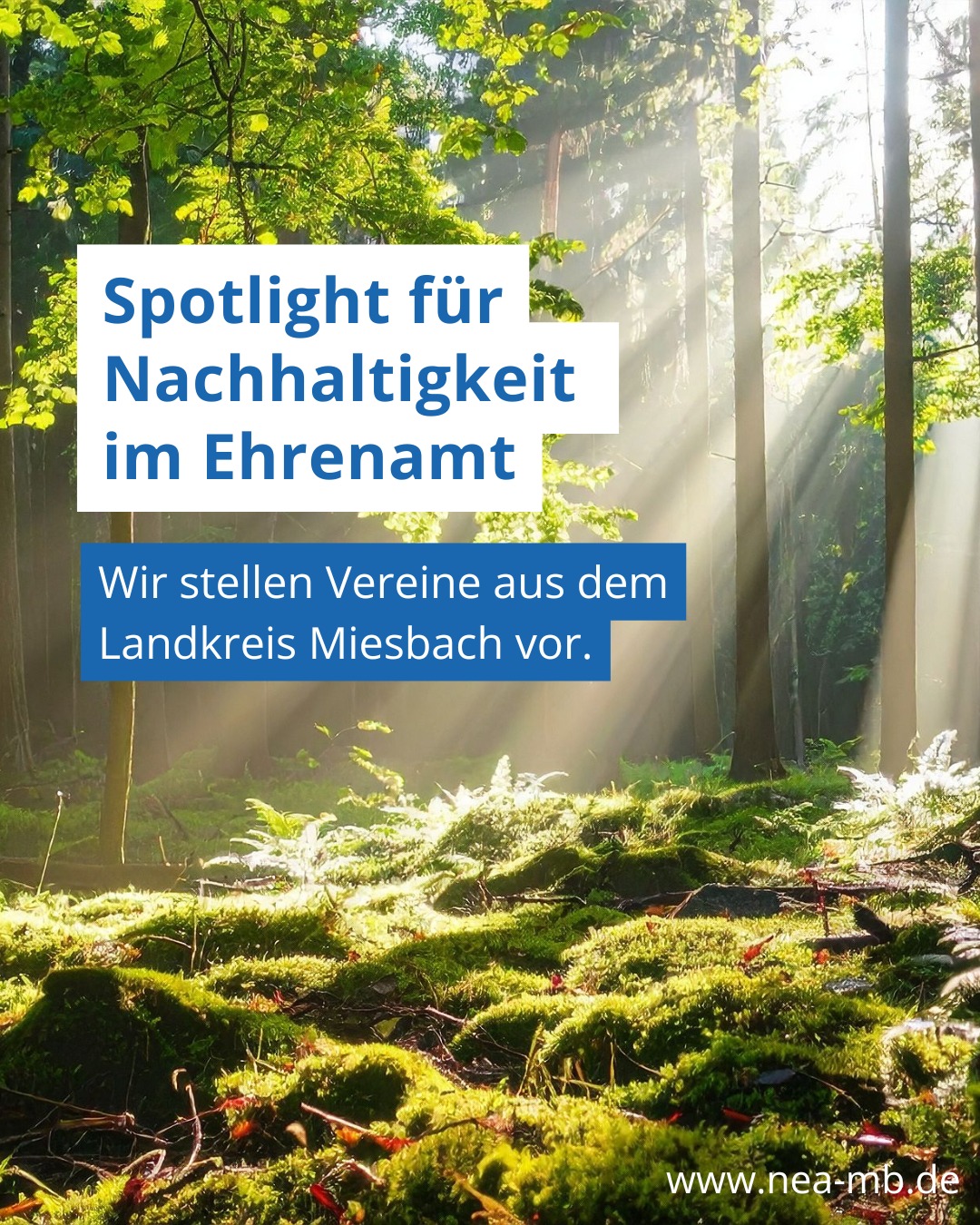 Im Landkreis Miesbach engagieren sich viele Vereine und Initiativen auf ganz unterschiedliche Weise für eine nachhaltige Zukunft. Weil wir dieses Engagement sichtbar machen wollen, stellen wir jeden Monat einen Verein oder eine gemeinnützige Organisation auf unserer Website und auf Instagram vor.
Ihr setzt euch mit eurem Verein für Nachhaltigkeit ein und habt Lust, eure Arbeit zu zeigen, sichtbar zu werden und euch zu vernetzen? Dann meldet euch gerne bei uns. Wir kommen vorbei, stellen ein paar Fragen, machen Fotos und veröffentlichen einen Beitrag über euch. Schreibt uns einfach eine Nachricht oder eine E-Mail an info@nea-mb.de
#Ehrenamt #nachhaltigkeit #NEAvernetzt
.