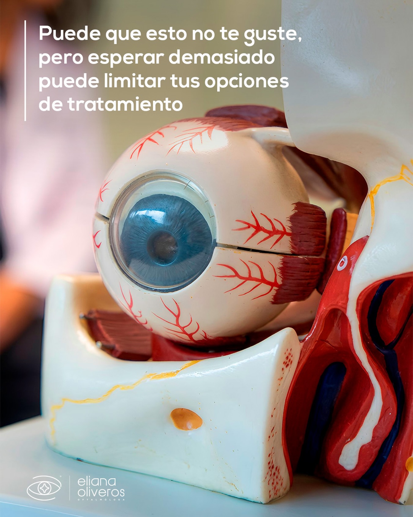 🧐No todos los problemas visuales se sienten al inicio. Y no todas las opciones siguen disponibles si se dejan pasar
🧑🏻⚕️En consulta evaluamos qué está pasando hoy y qué soluciones reales tienes, antes de que el tiempo decida por ti
Ver bien es importante. Decidir a tiempo lo es aún más 👌🏻
📲 Agenda pronto tu consulta para ver una visión increíble este 2026